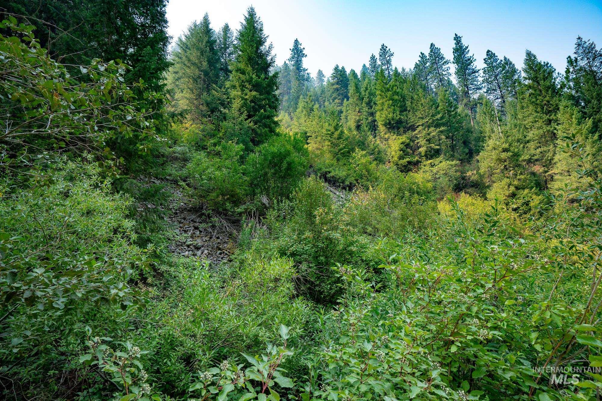 Tract B Valley Of The Pines Subdivision Property Photo 4