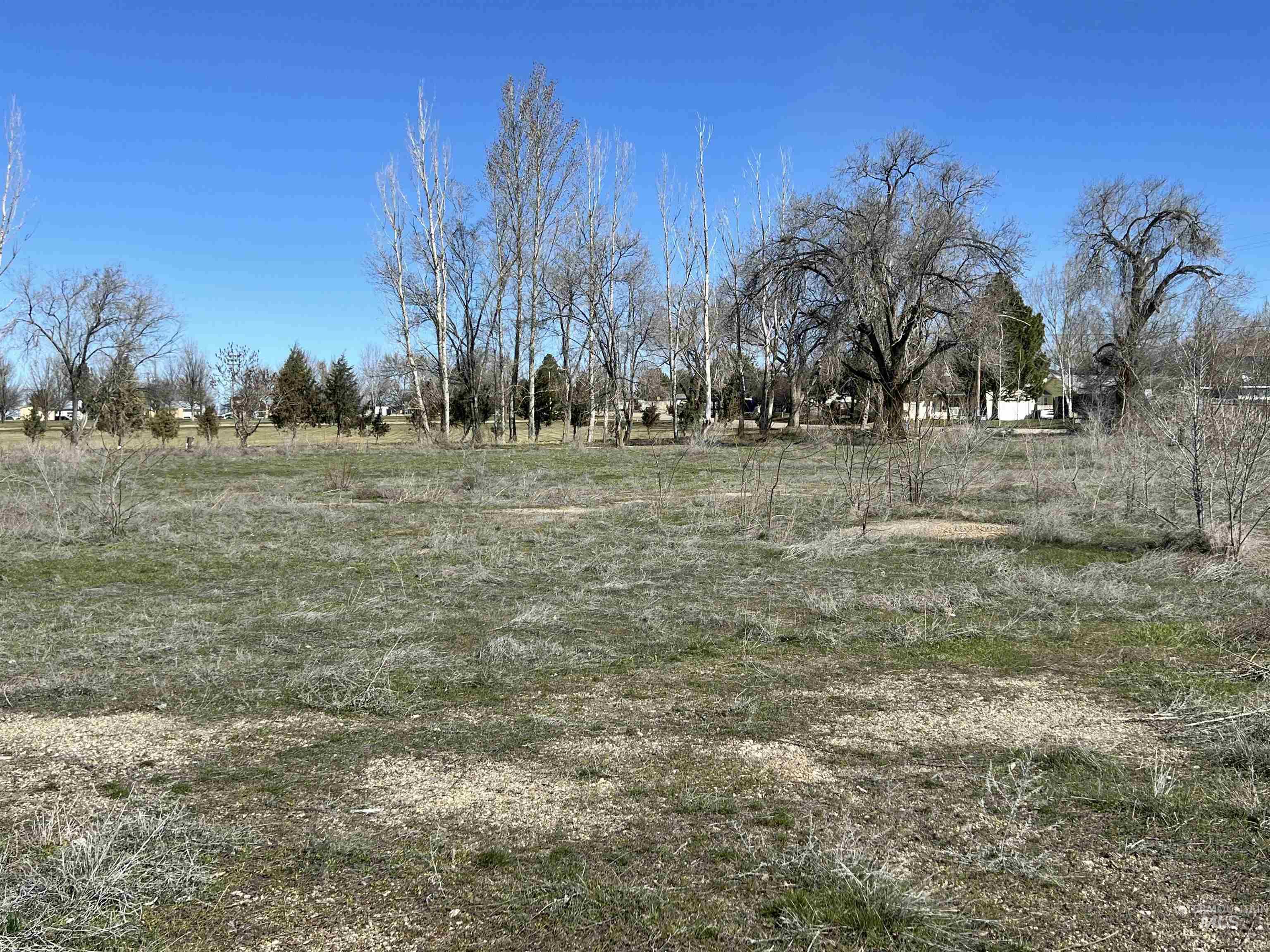 126 Charlotte Dr Property Photo 2