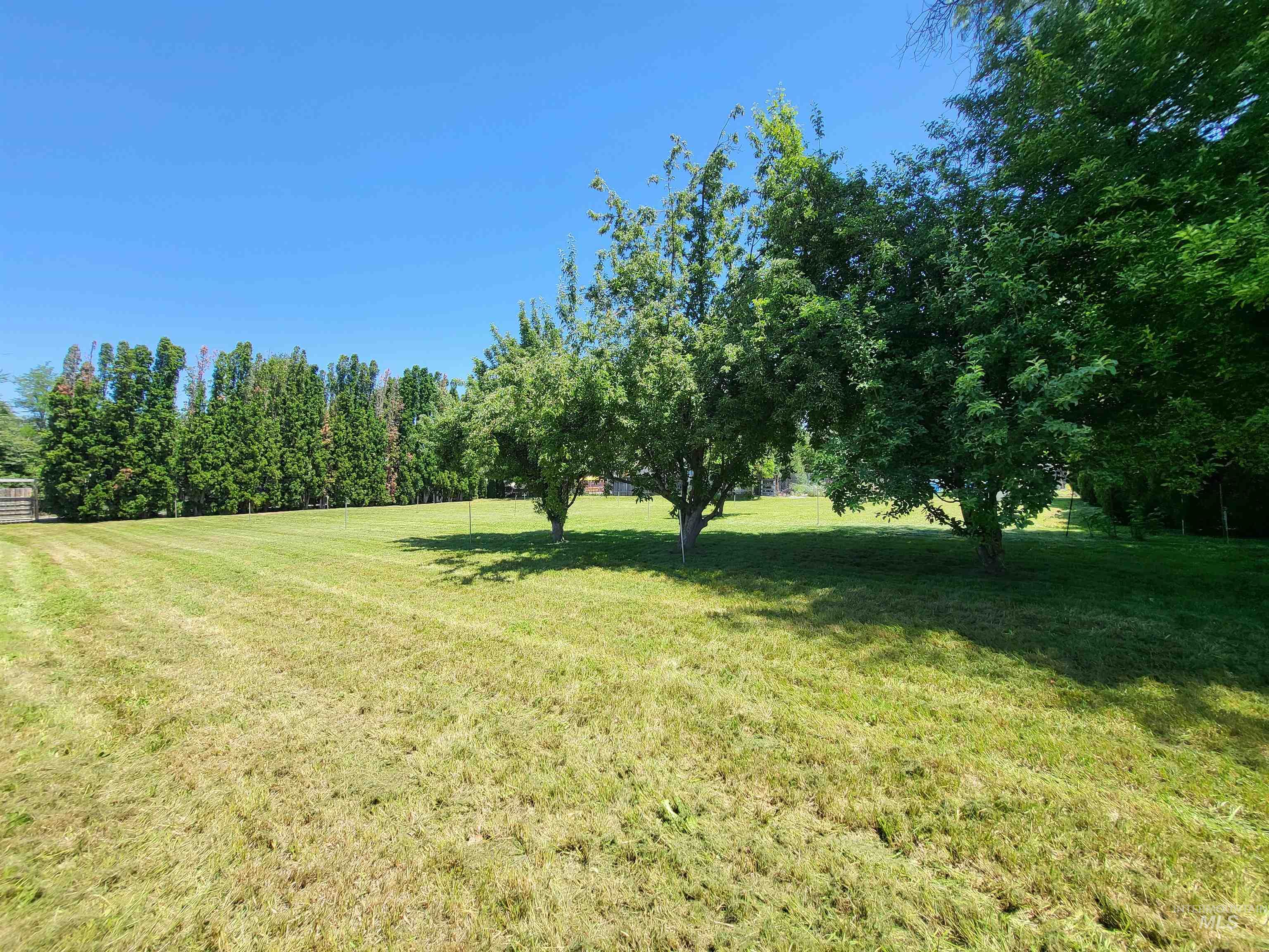 4717 W Holmes Street Property Photo 5