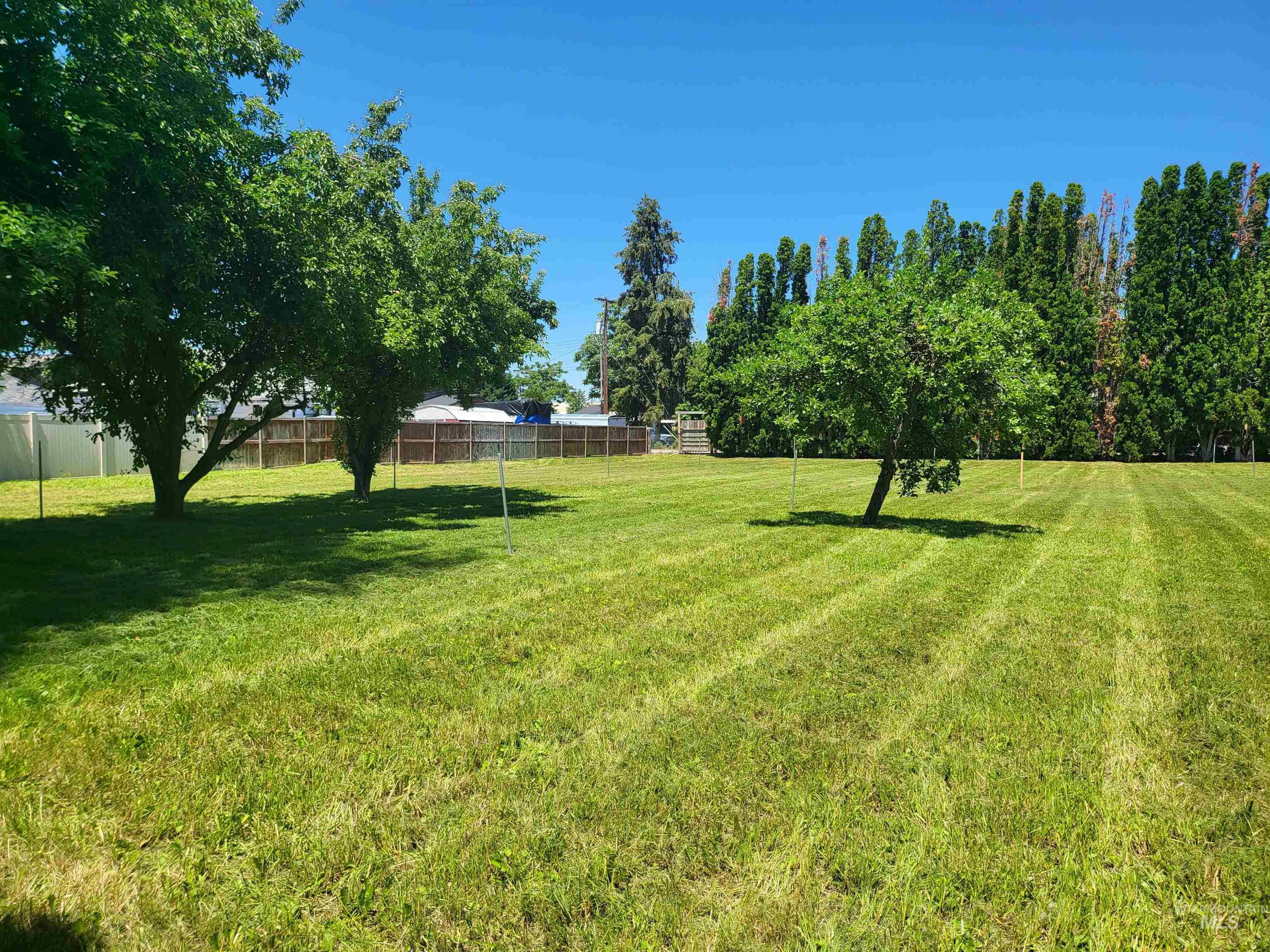 4717 W Holmes Street Property Photo 8