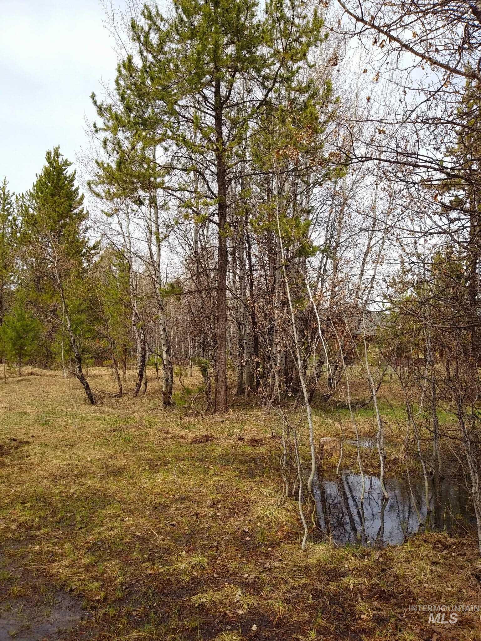 174 Meadow Place Property Photo