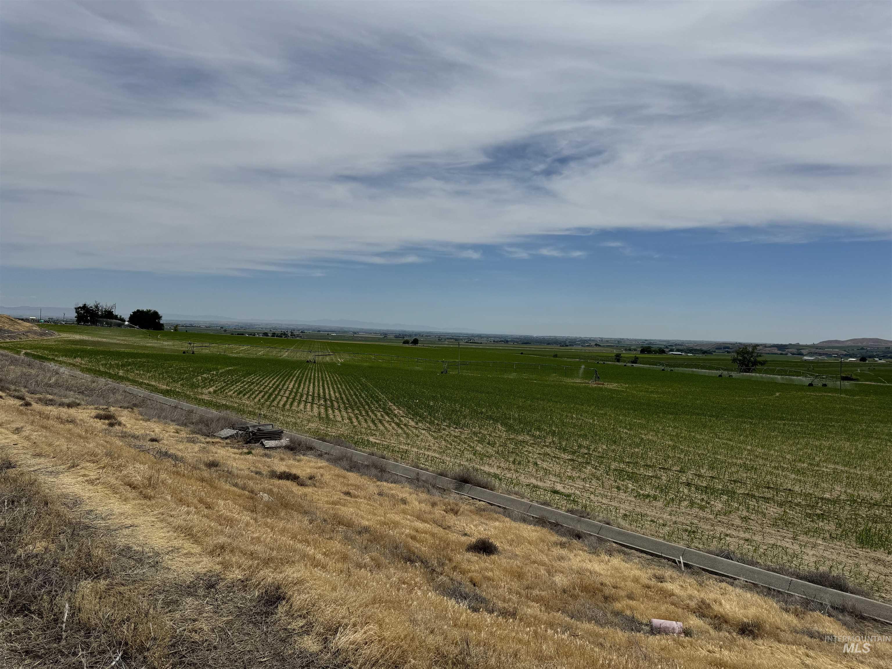 1349 Klamath Ave Property Photo 4