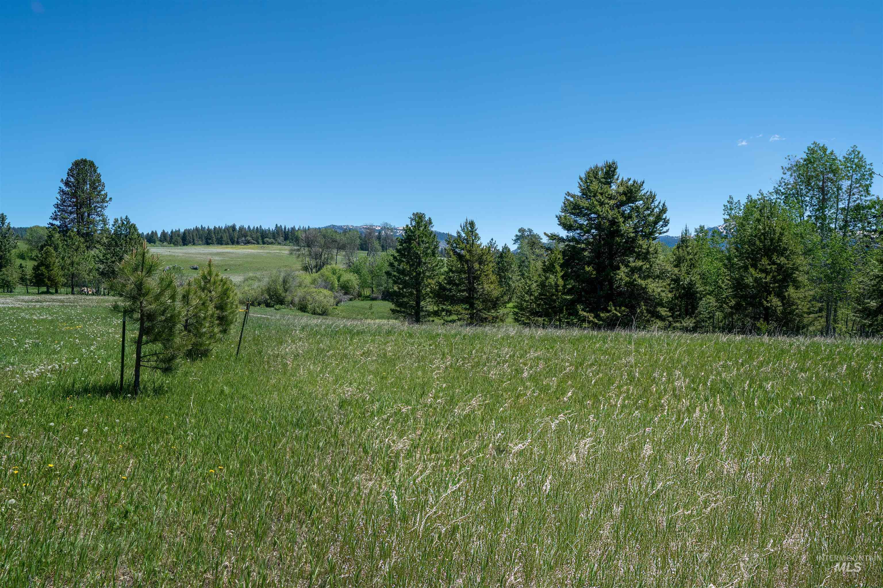 14128 Jefferson Road Property Photo 4