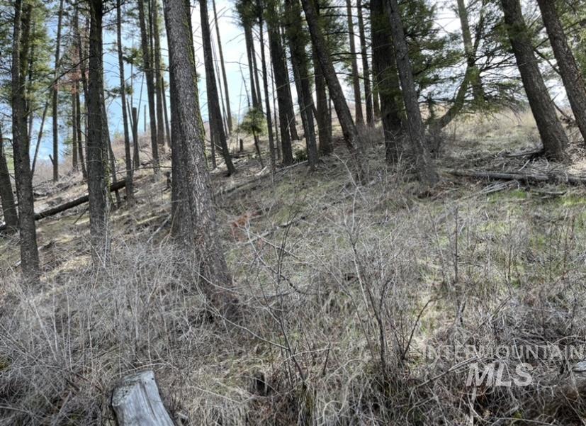 Tbd State Highway 129 Property Photo