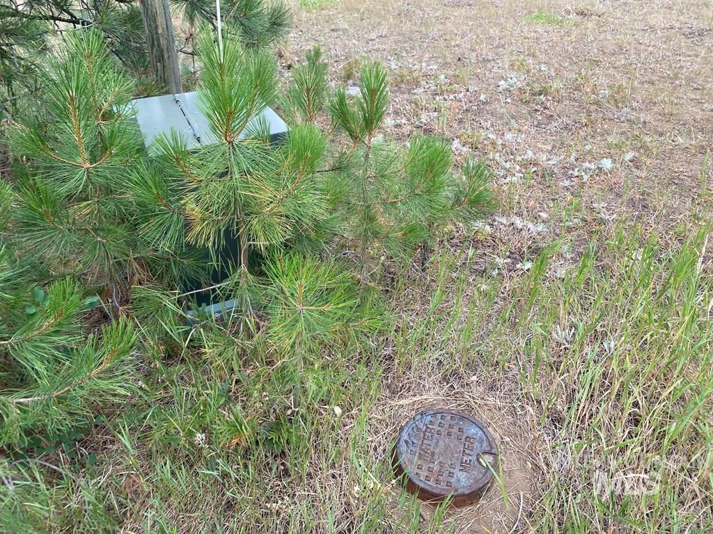 Tbd Lot 15 Whitefield Lane Property Photo 8