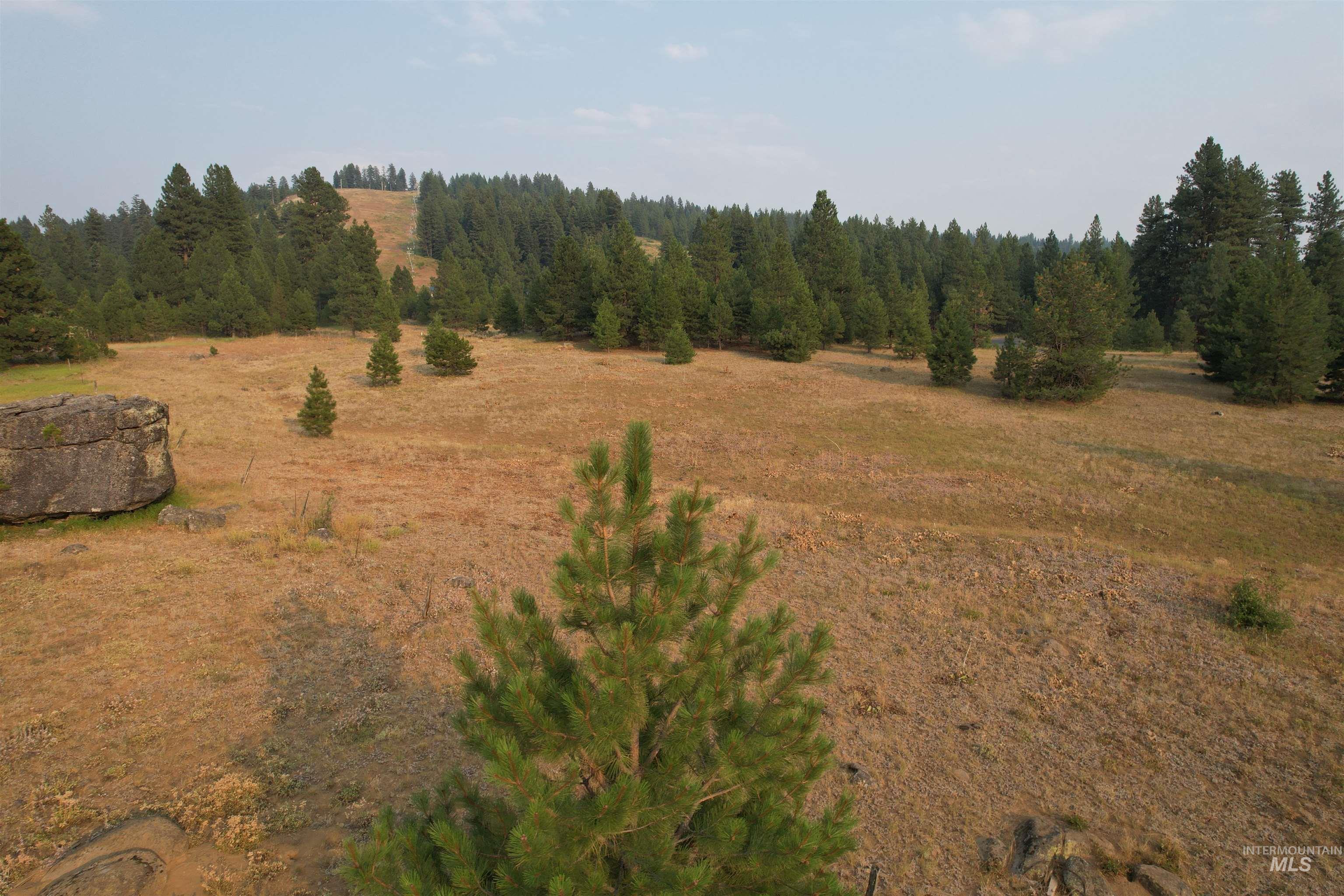 Tbd Lot 15 Whitefield Lane Property Photo 10