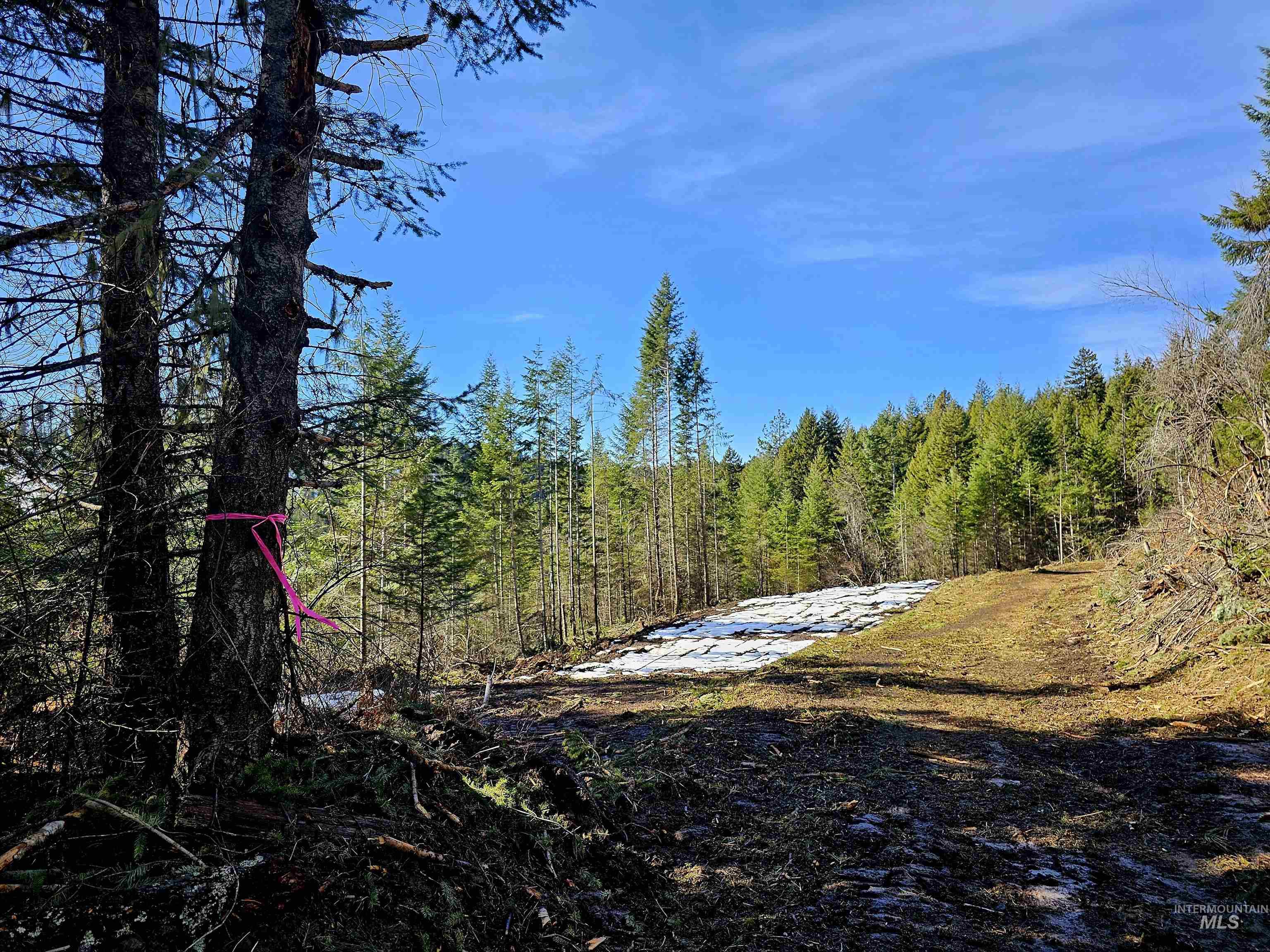 Tbd Freeman Creek Rd Property Photo