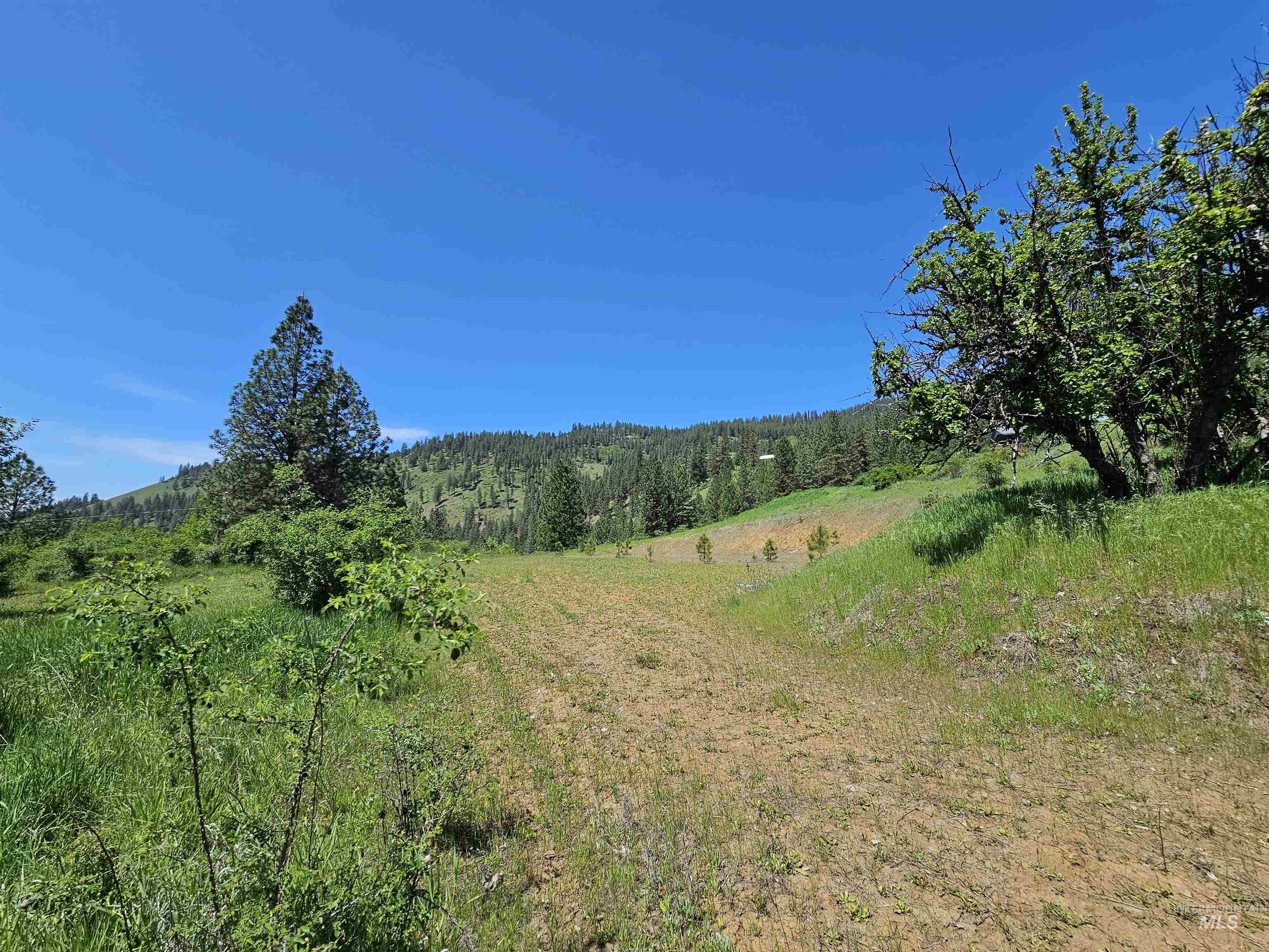Tbd Adams Rd, Parcel D Property Photo 3