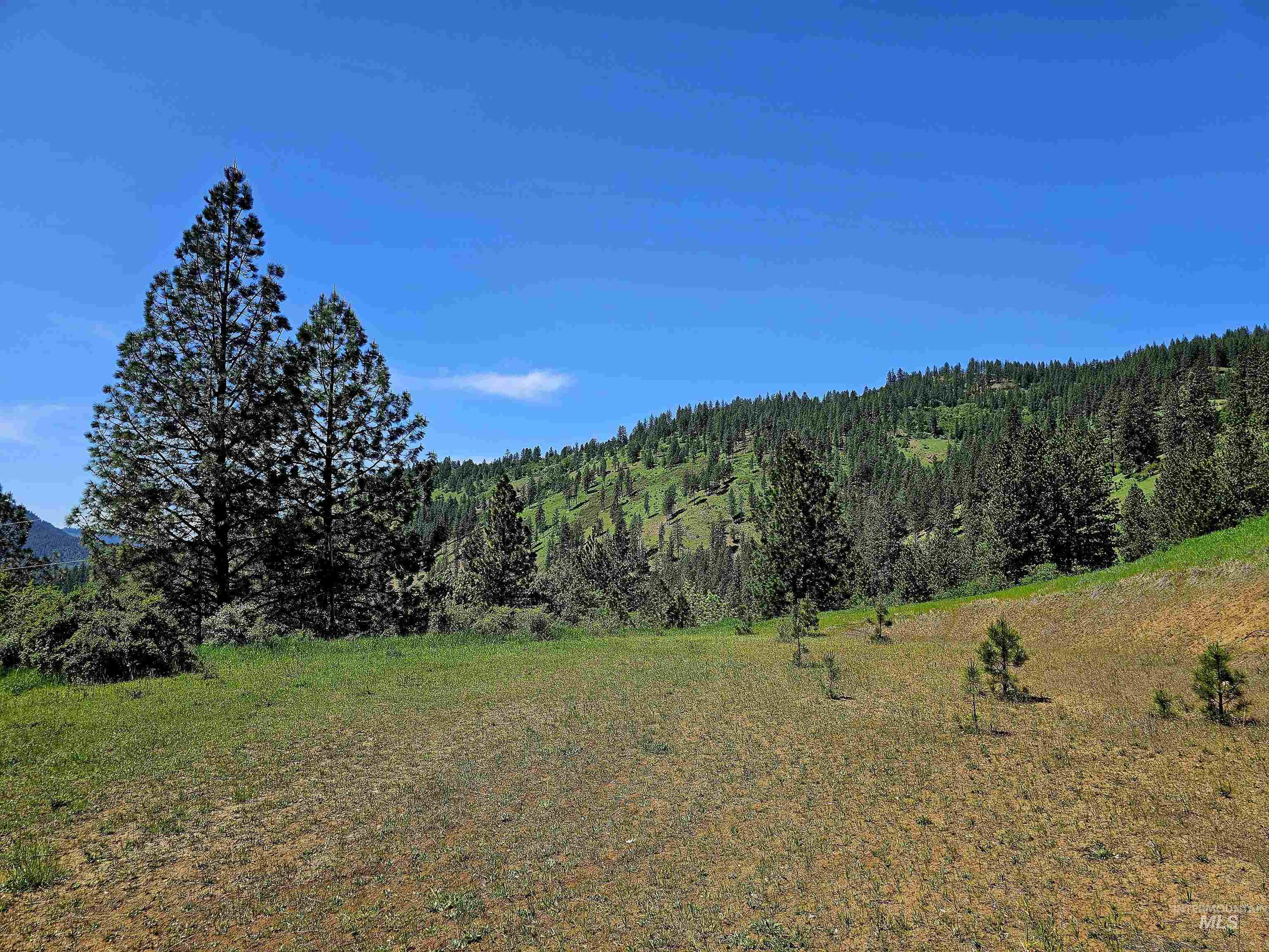 Tbd Adams Rd, Parcel D Property Photo 11