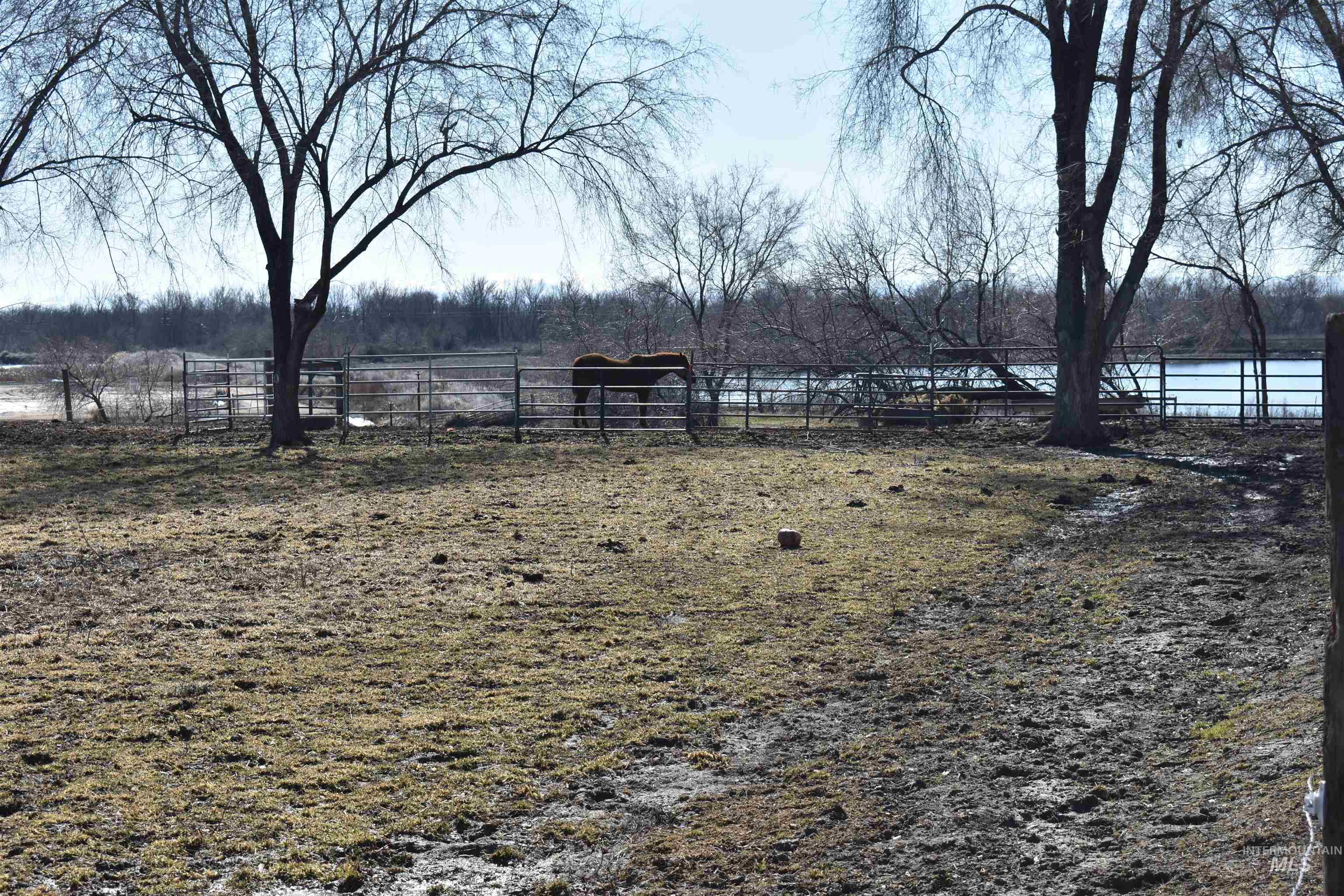 17531 Hwy 20-26 Property Photo 9