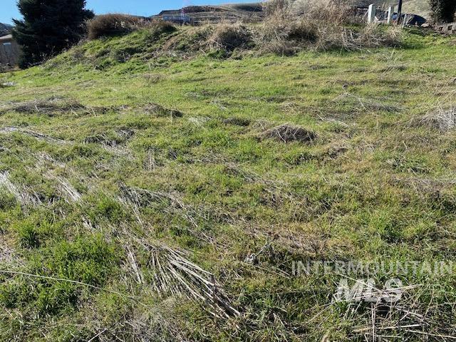 107 Appleford Dr Property Photo 3