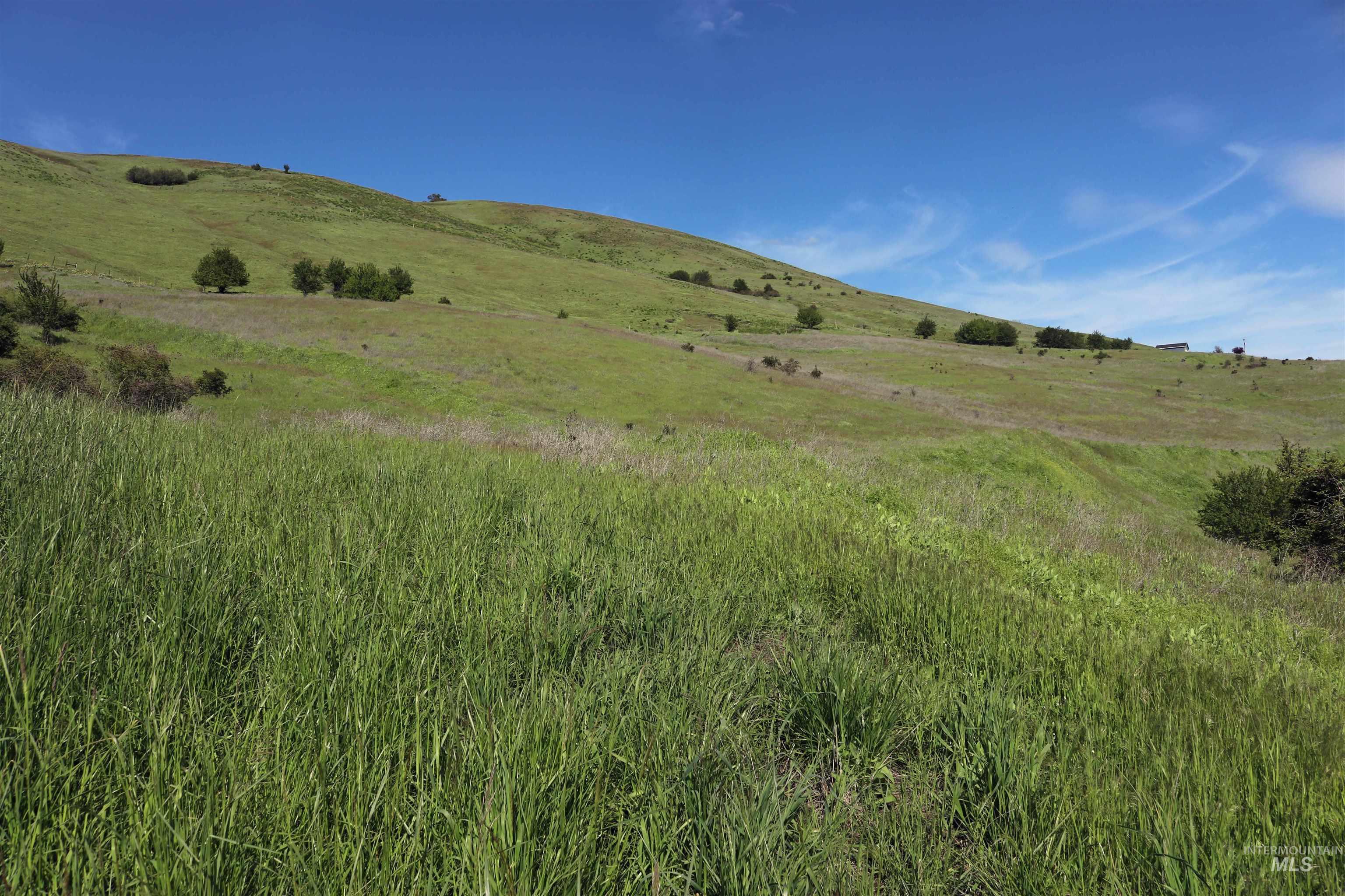 Tbd Sunnyside Bench Road Property Photo 2