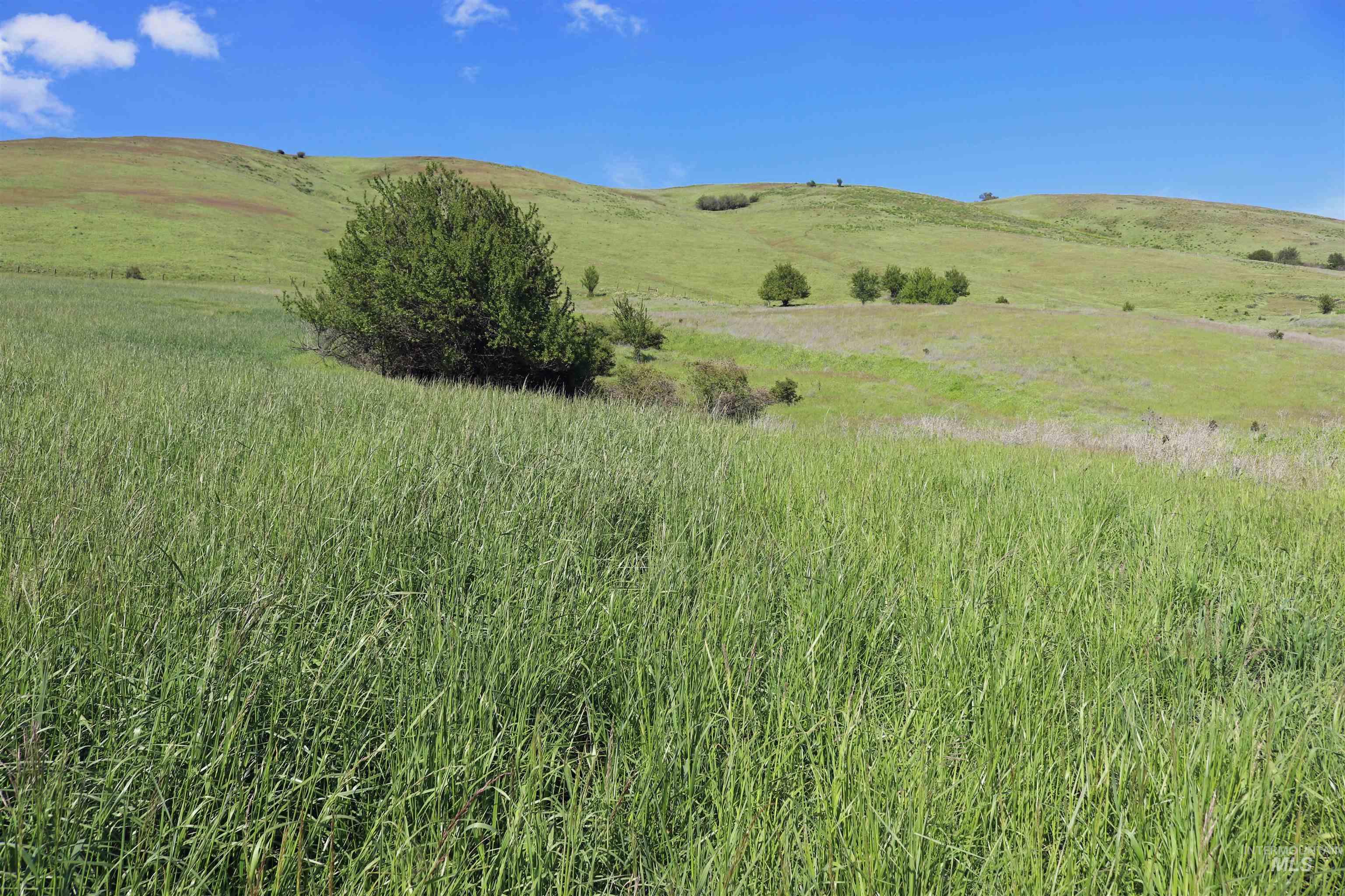 Tbd Sunnyside Bench Road Property Photo 3