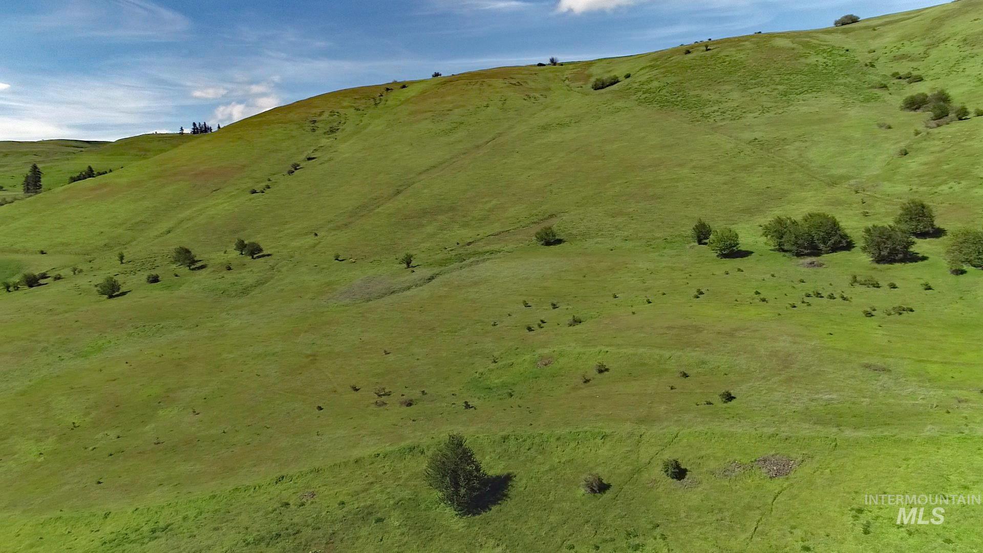 Tbd Sunnyside Bench Road Property Photo 4
