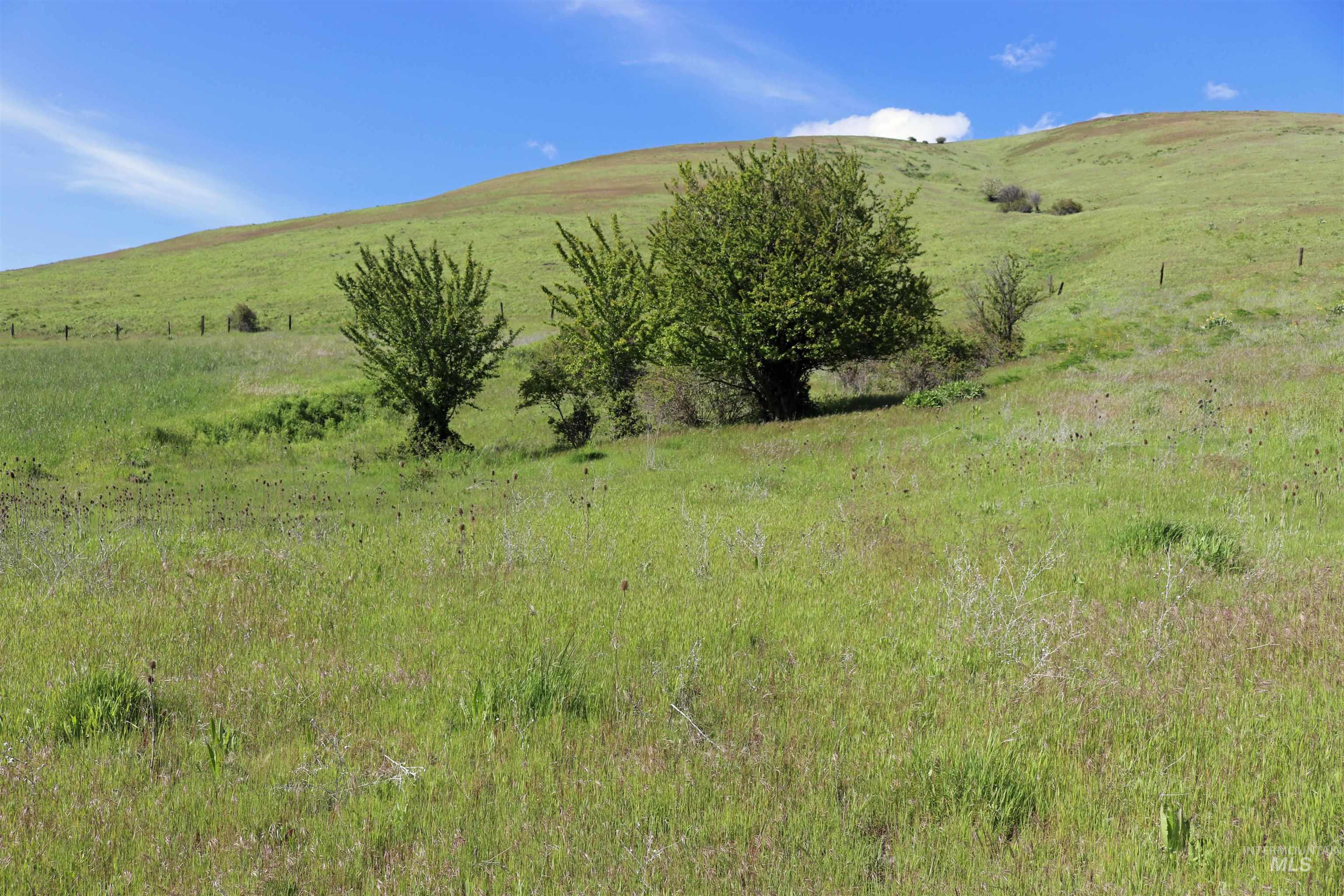 Tbd Sunnyside Bench Road Property Photo 5
