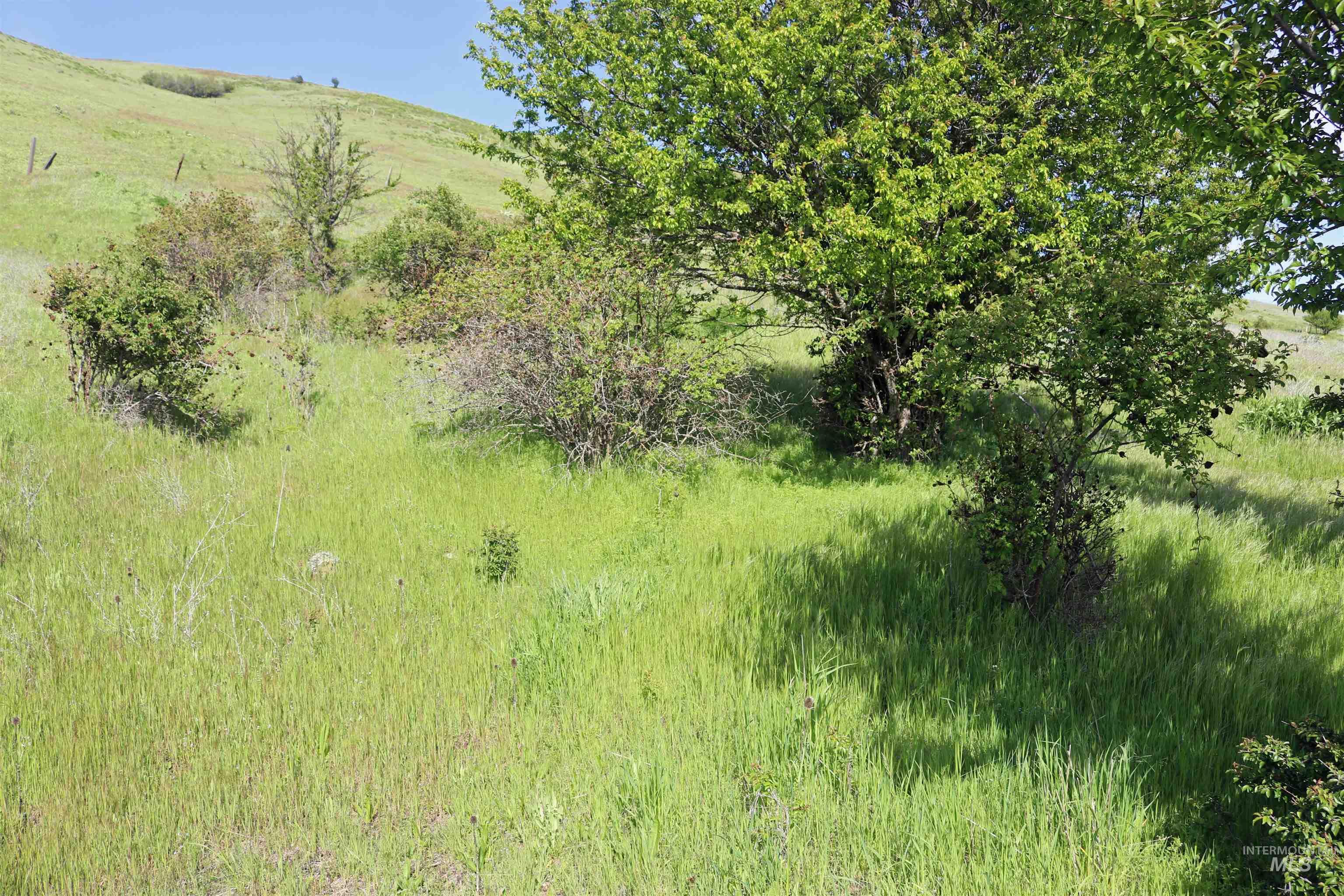 Tbd Sunnyside Bench Road Property Photo 7
