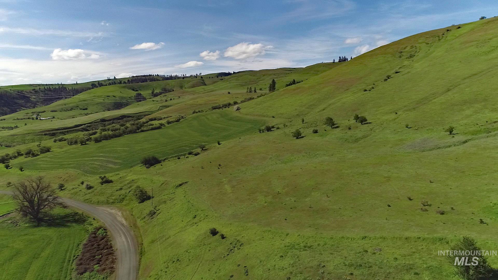 Tbd Sunnyside Bench Road Property Photo 8