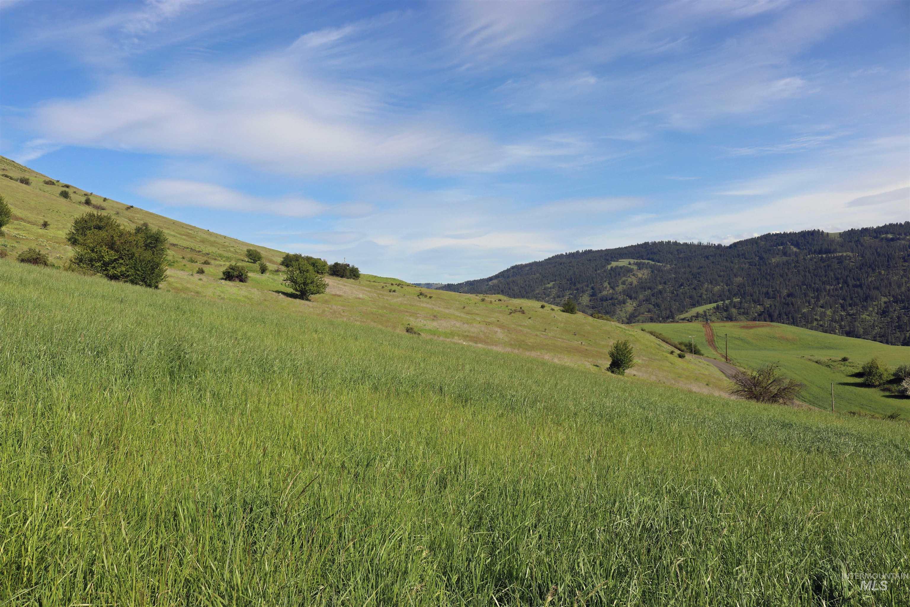 Tbd Sunnyside Bench Road Property Photo 9