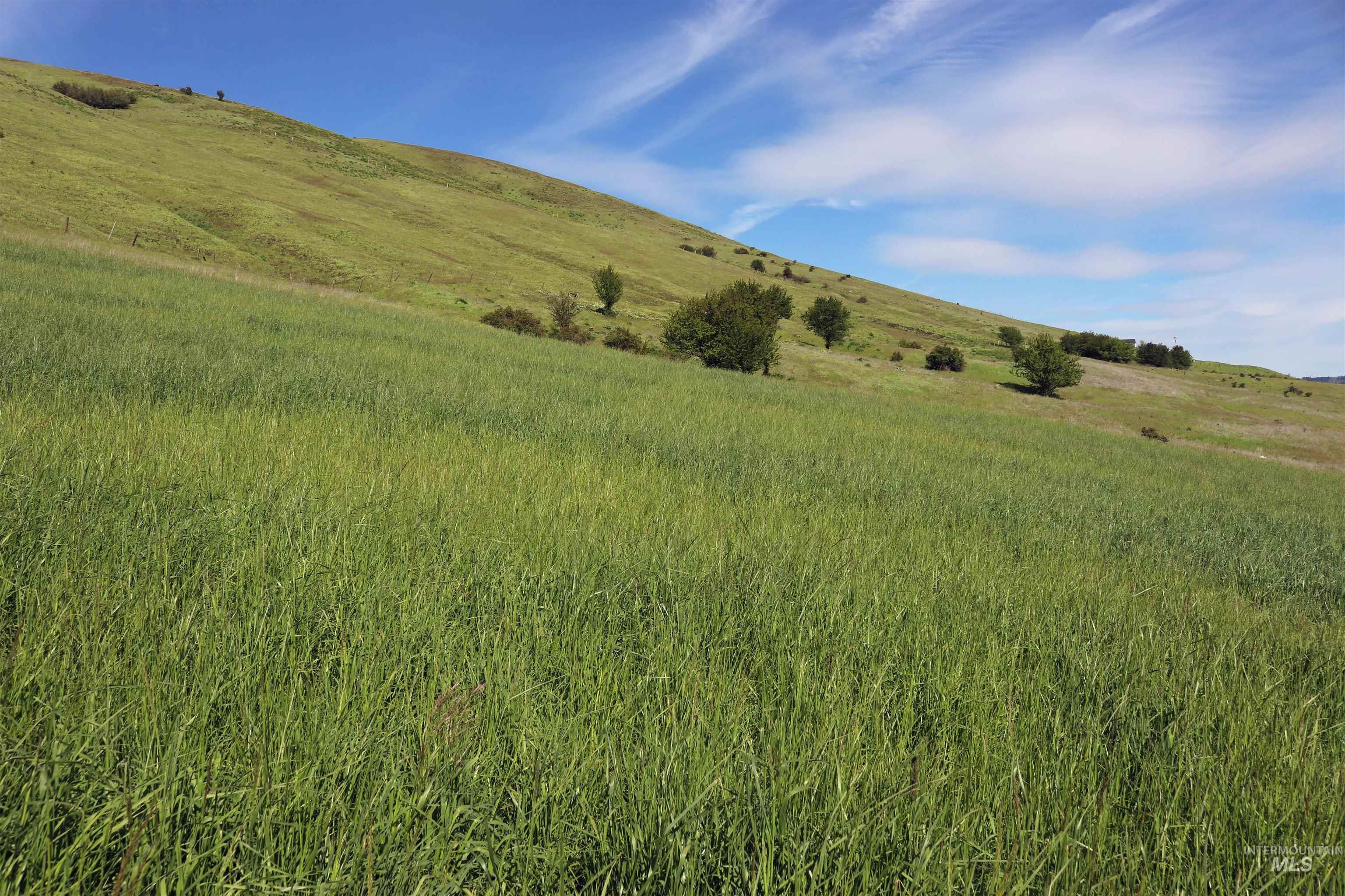 Tbd Sunnyside Bench Road Property Photo 10