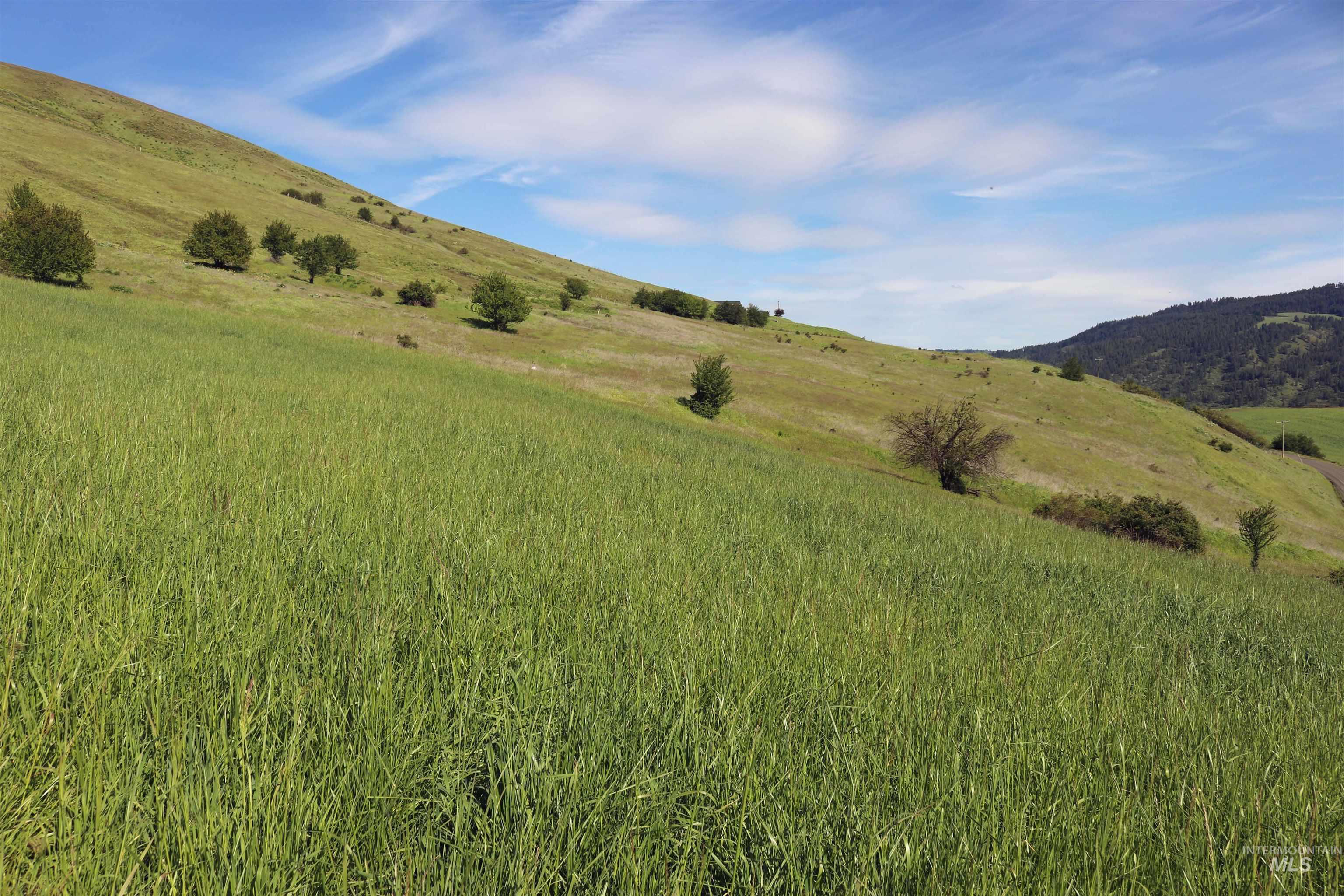 Tbd Sunnyside Bench Road Property Photo 11
