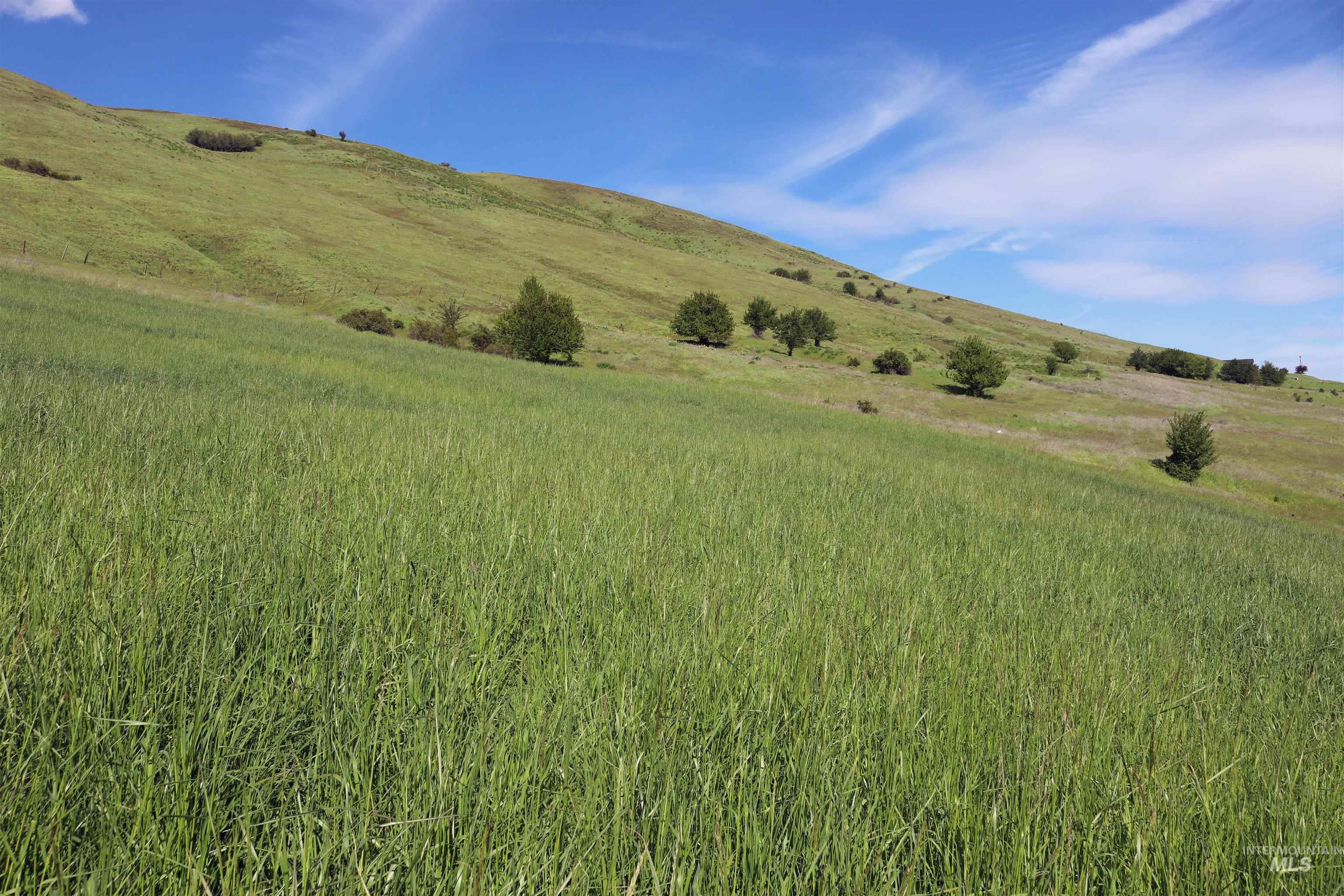 Tbd Sunnyside Bench Road Property Photo 12