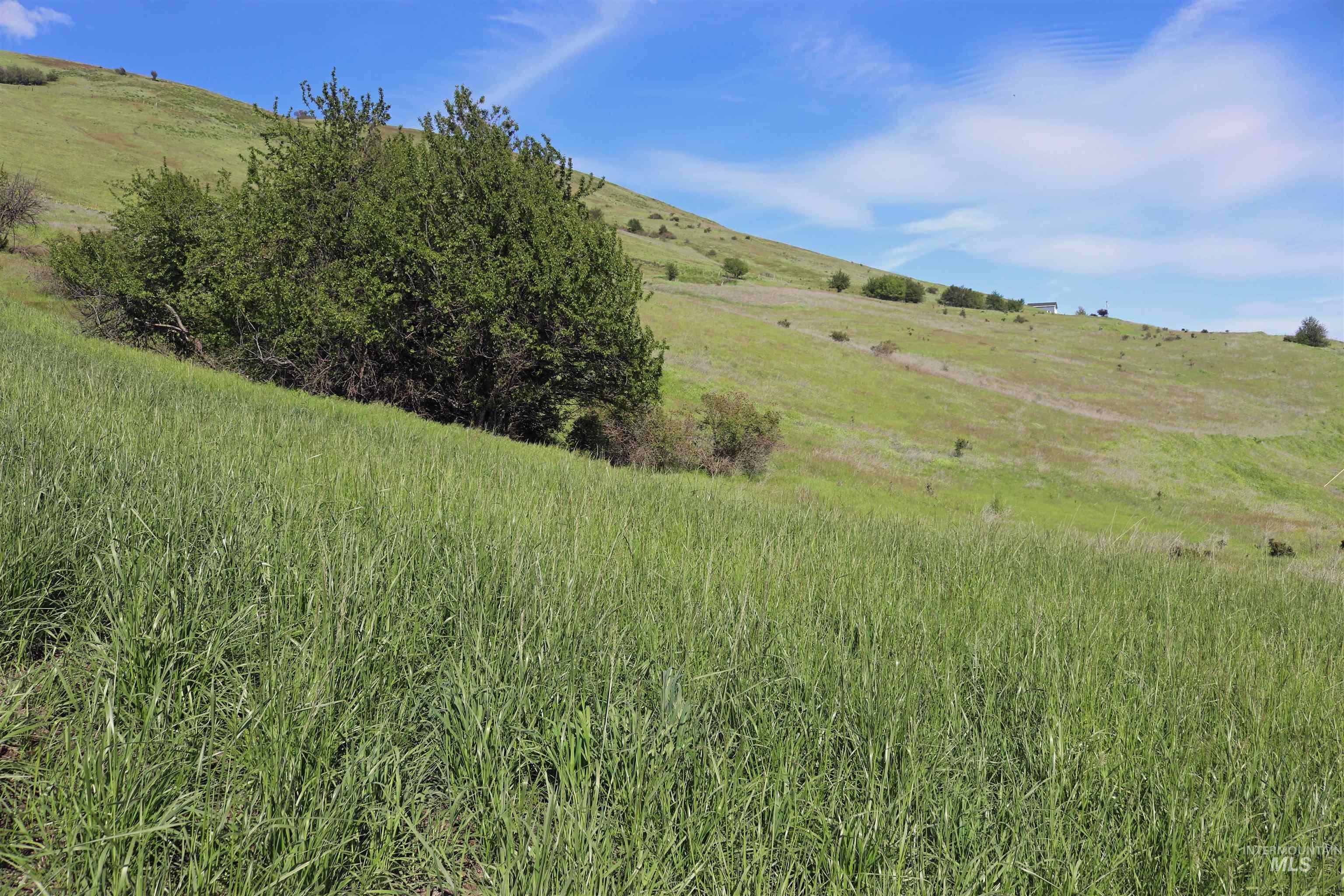 Tbd Sunnyside Bench Road Property Photo 13