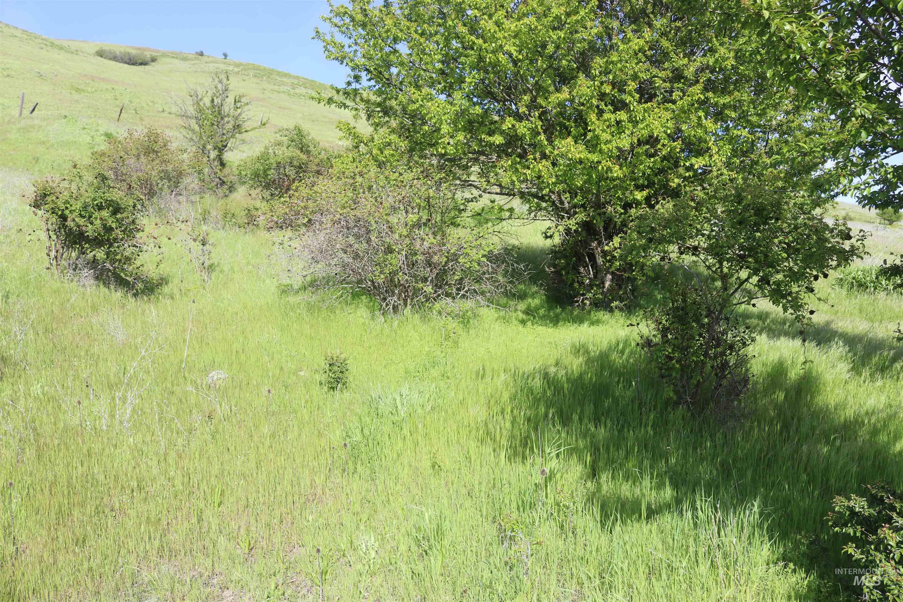 Tbd Sunnyside Bench Road Property Photo 14