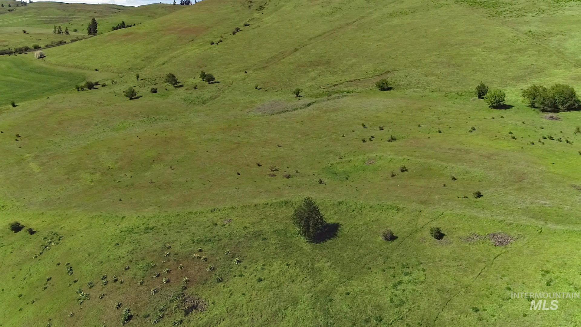 Tbd Sunnyside Bench Road Property Photo 16