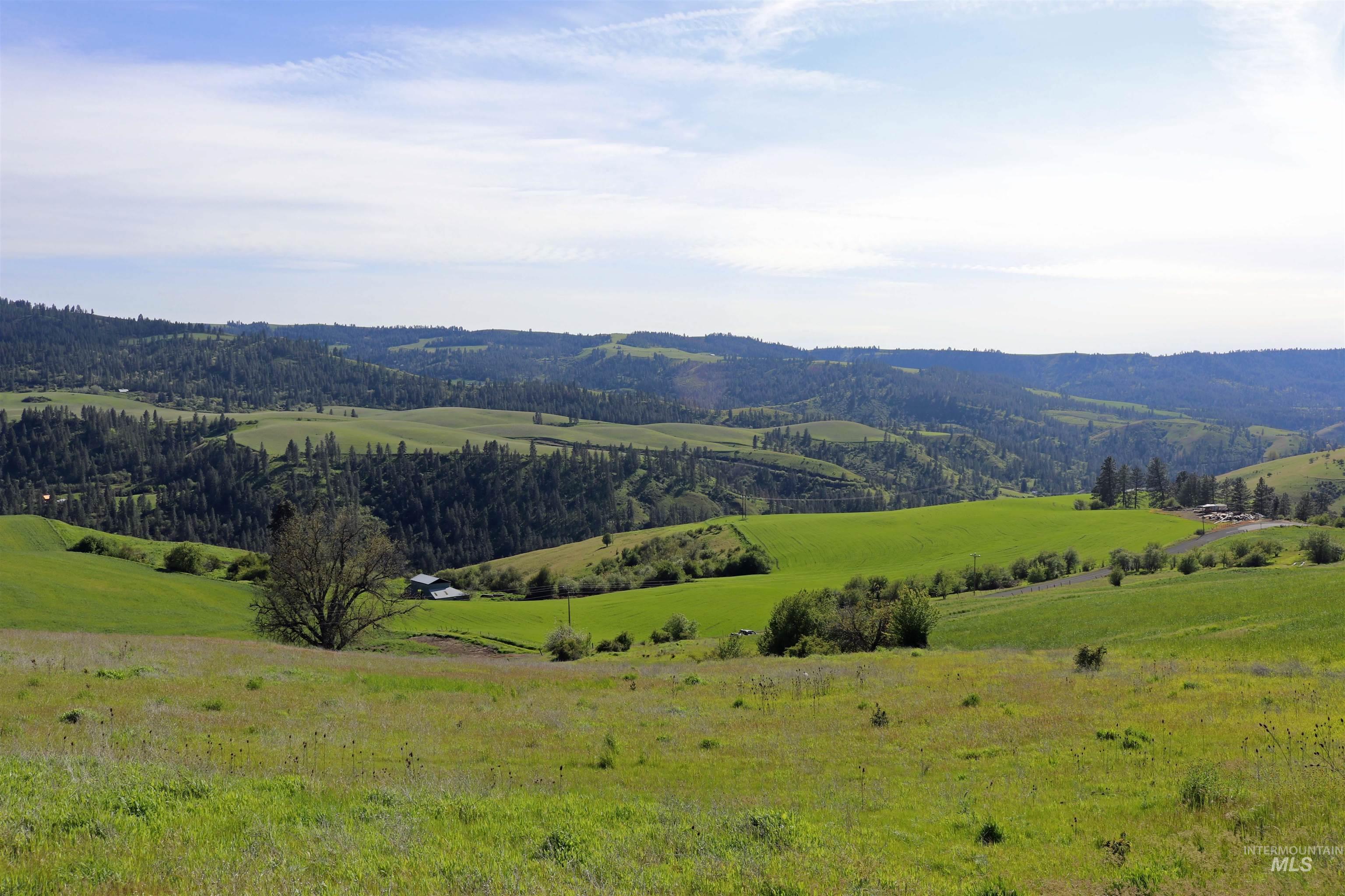 Tbd Sunnyside Bench Road Property Photo 18