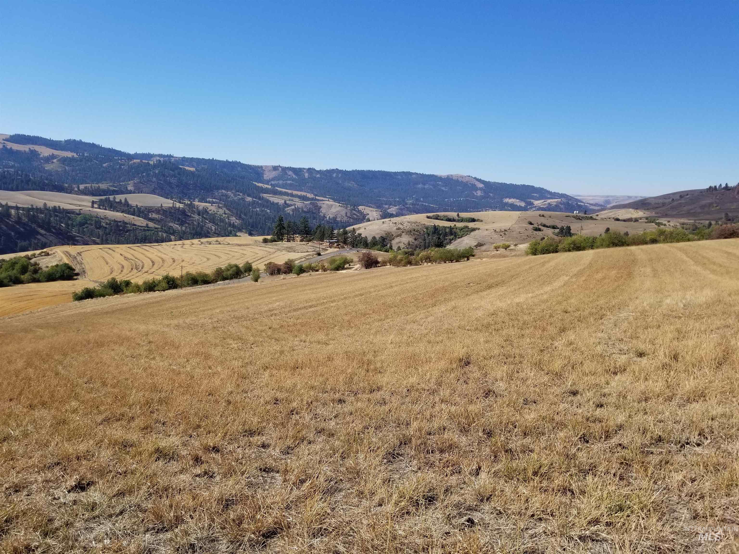 Tbd Sunnyside Bench Road Property Photo 19