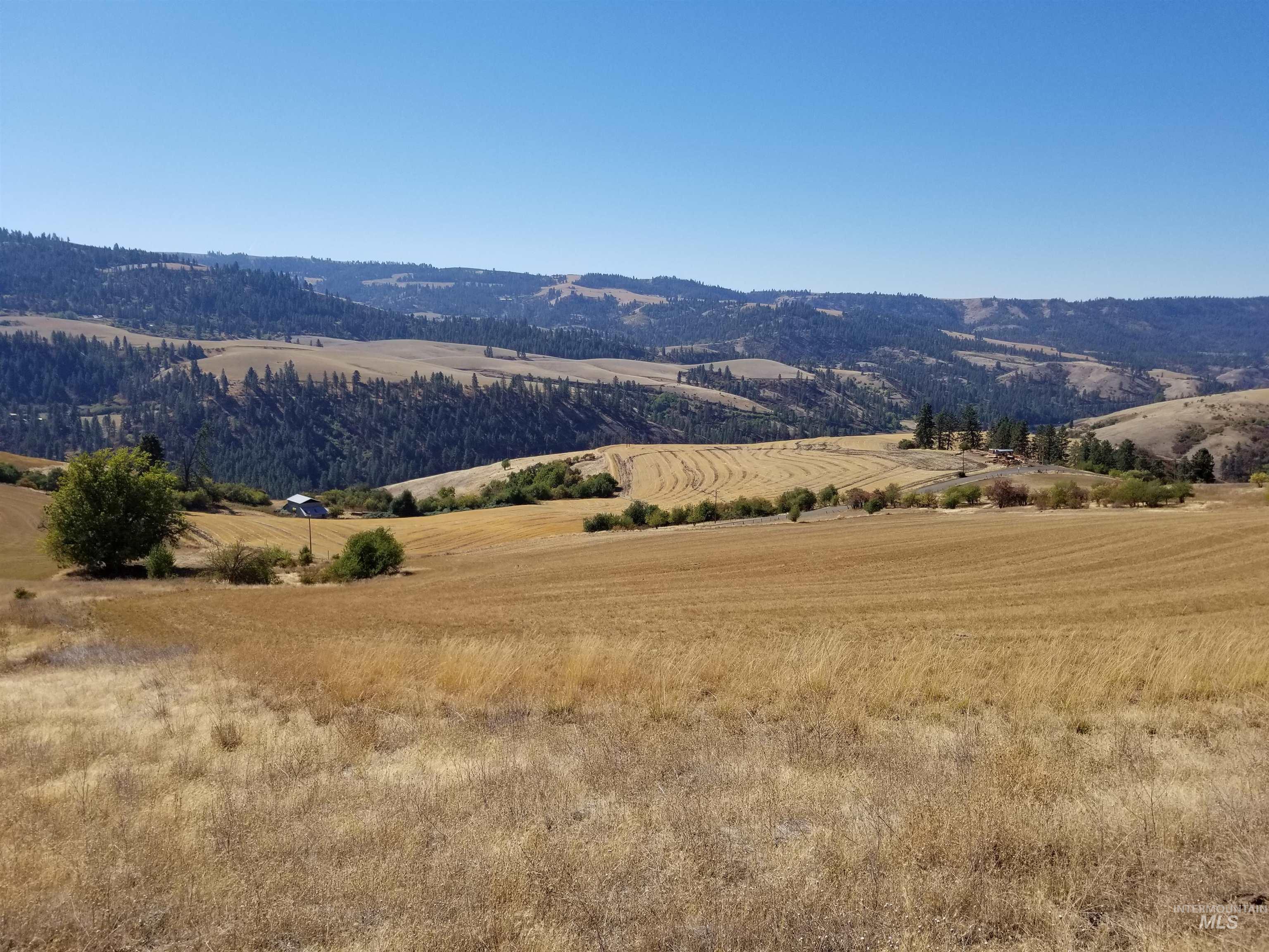 Tbd Sunnyside Bench Road Property Photo 20