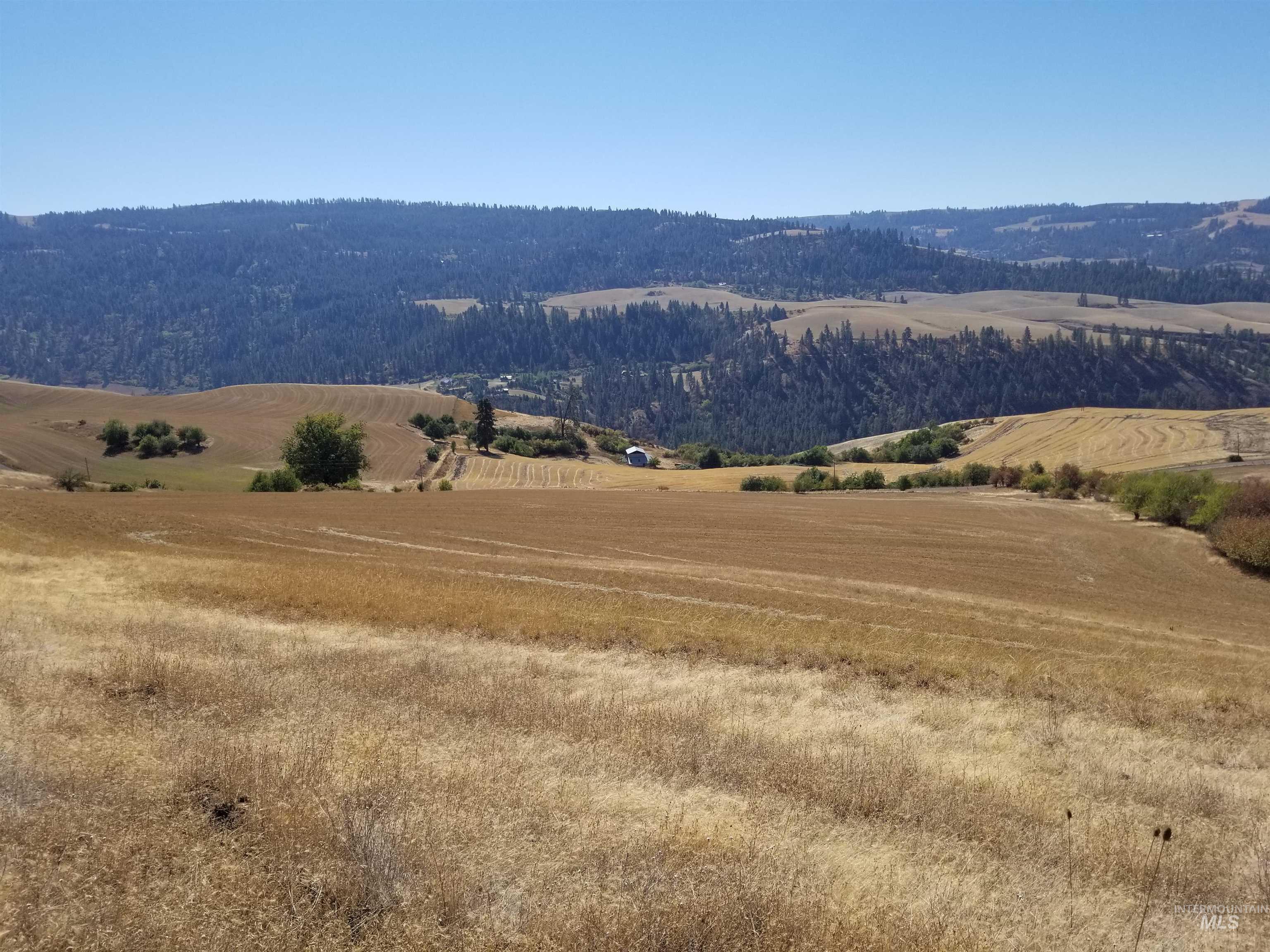 Tbd Sunnyside Bench Road Property Photo 21