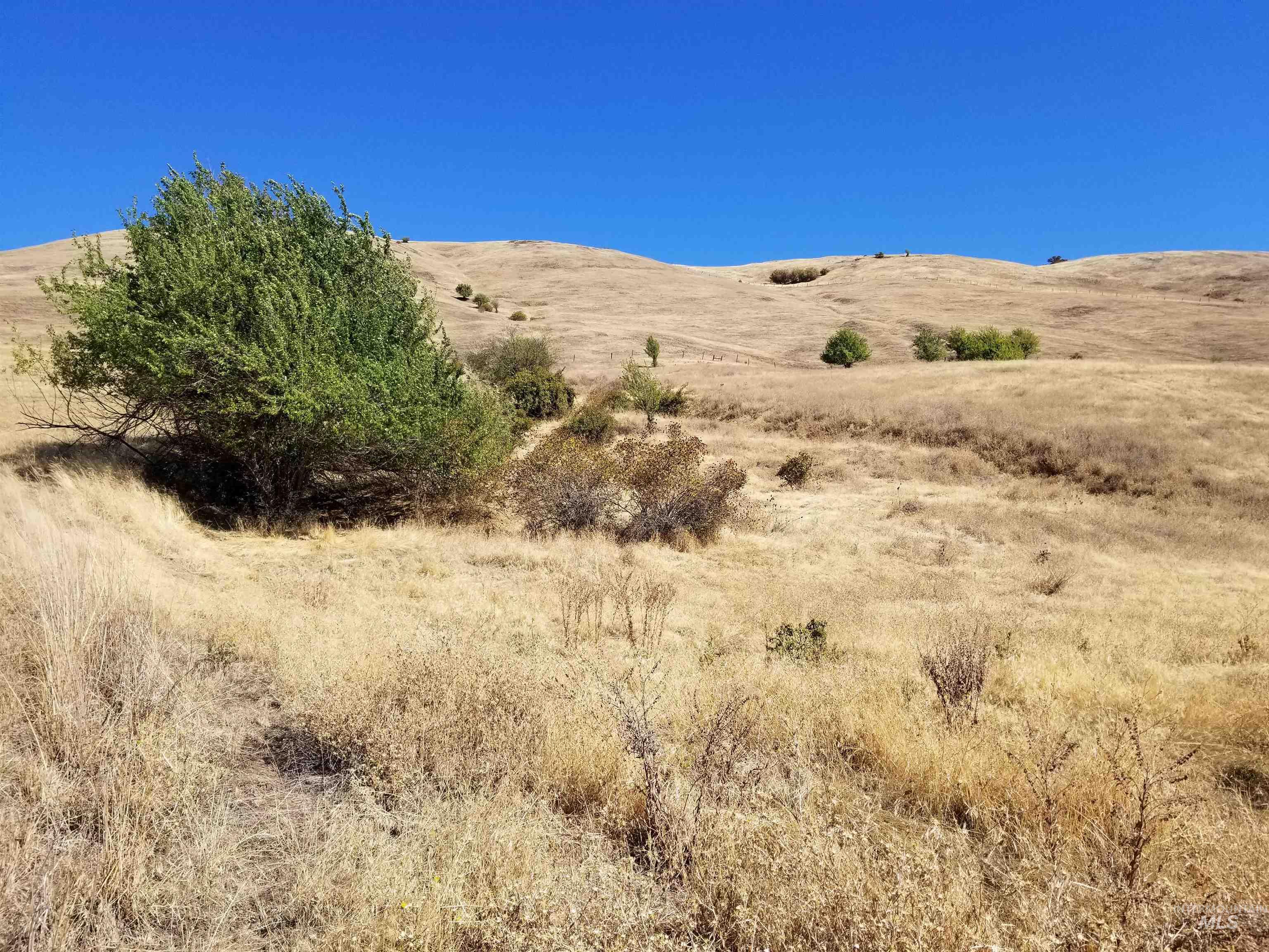 Tbd Sunnyside Bench Road Property Photo 22