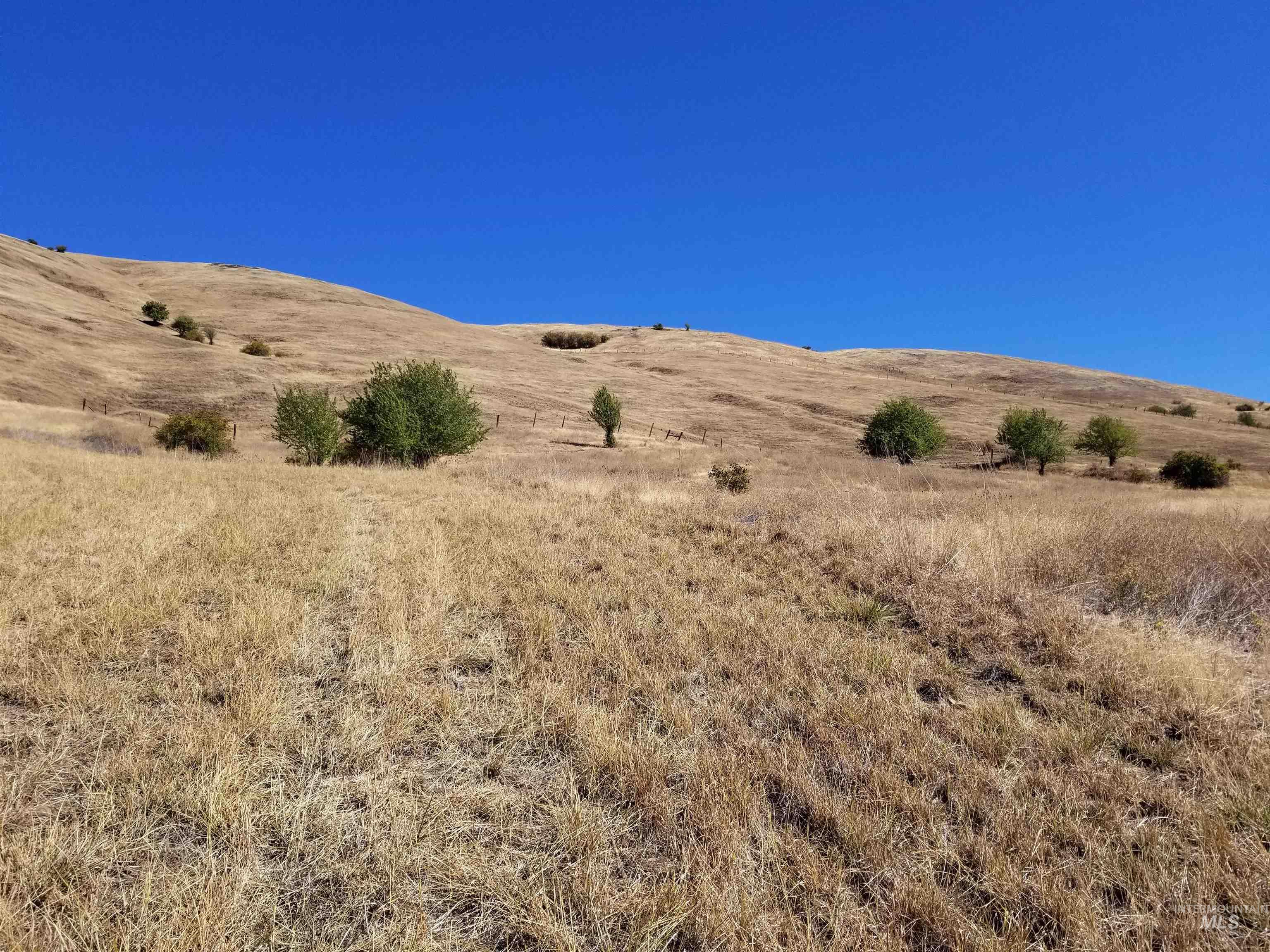 Tbd Sunnyside Bench Road Property Photo 23
