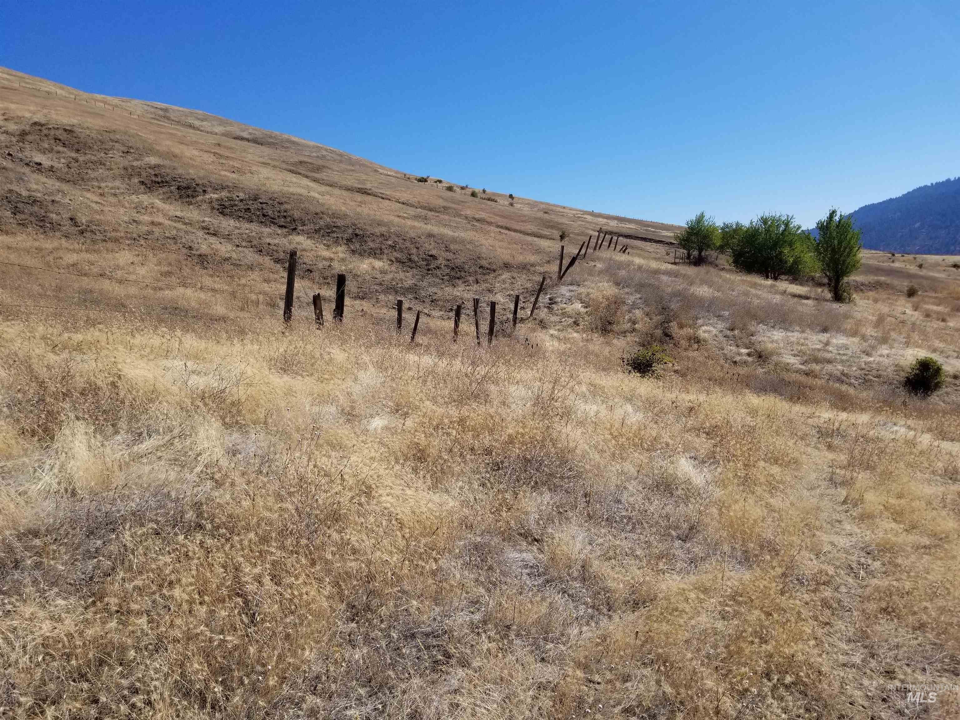 Tbd Sunnyside Bench Road Property Photo 24