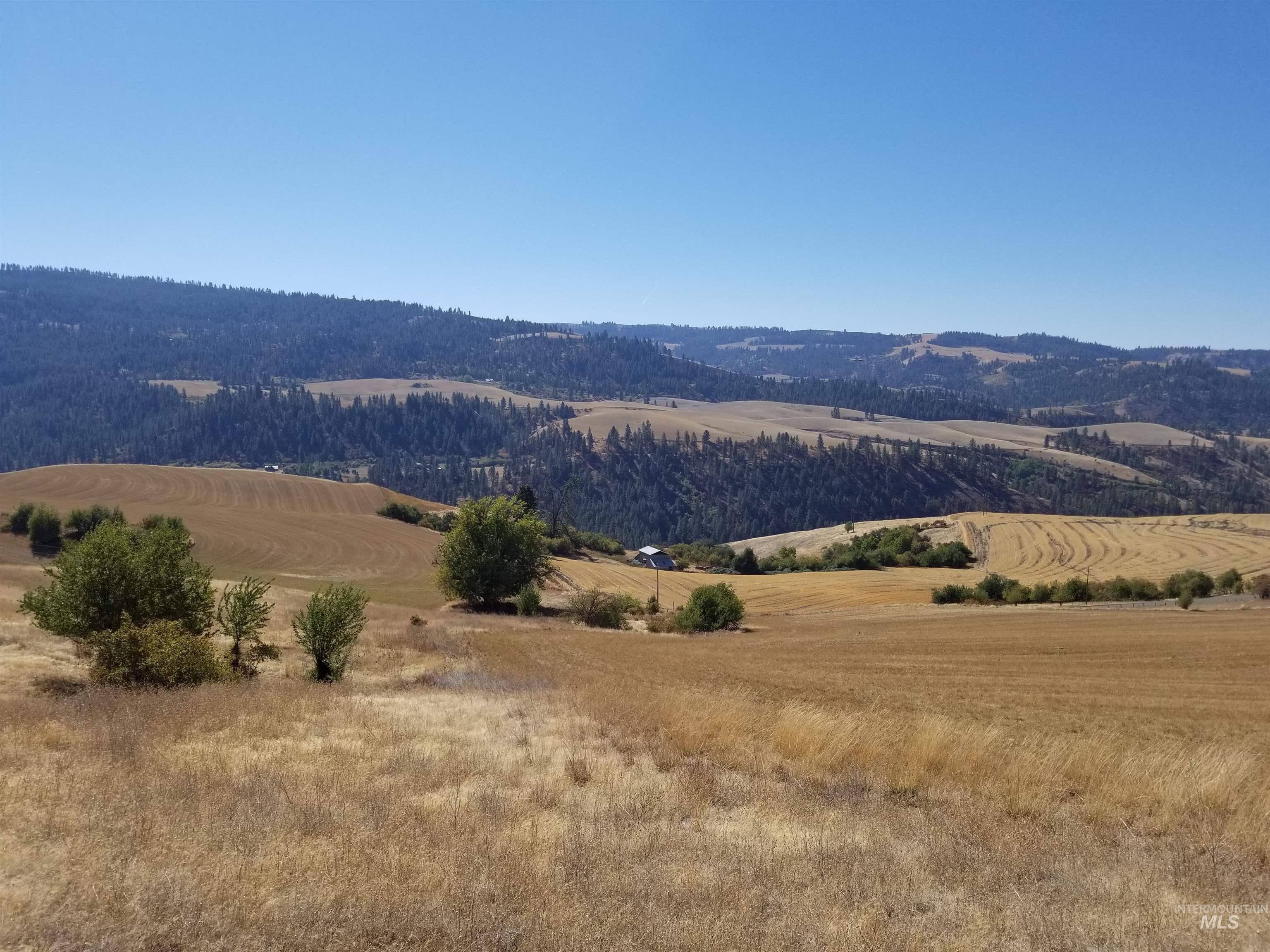Tbd Sunnyside Bench Road Property Photo 25