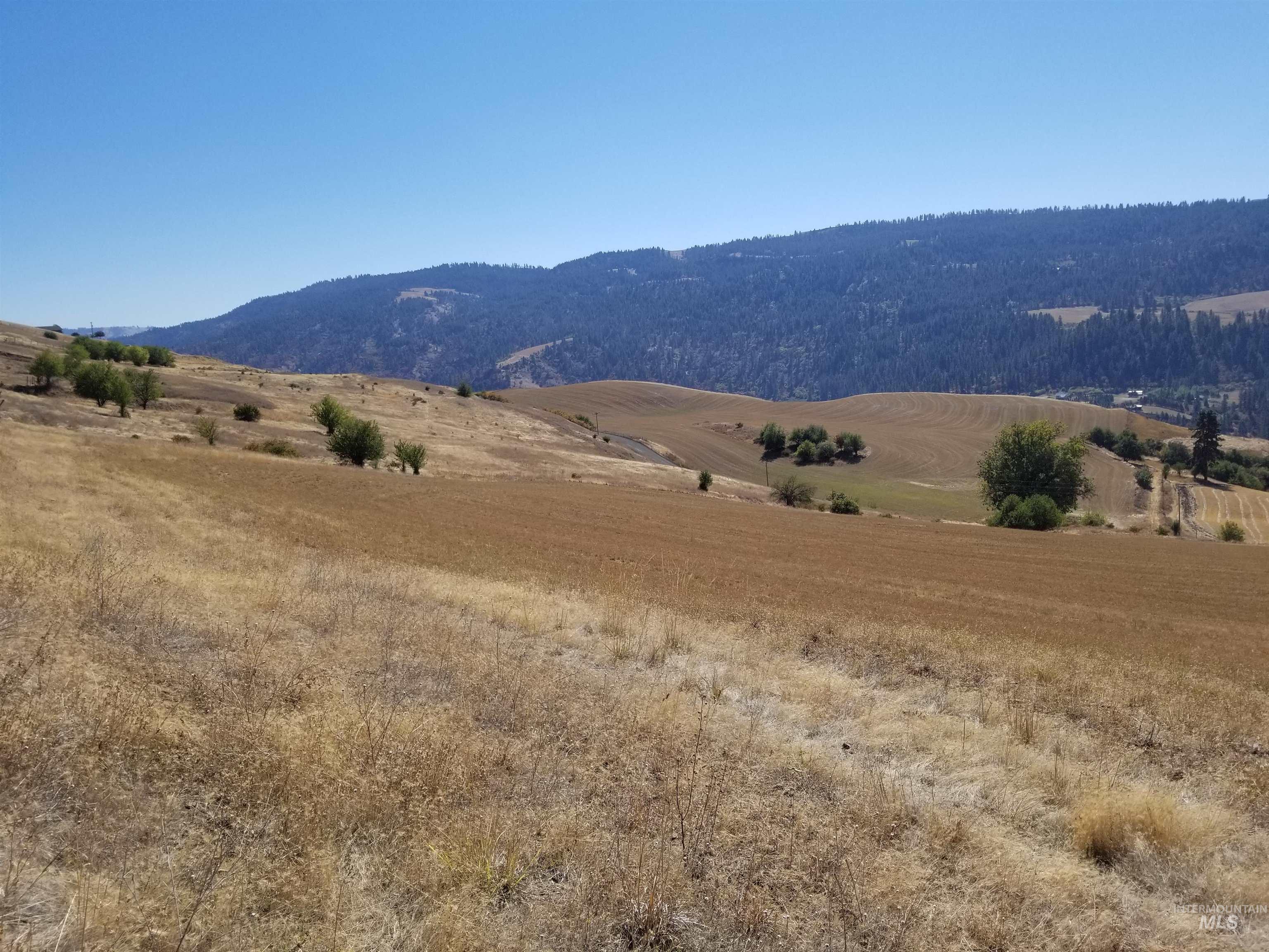 Tbd Sunnyside Bench Road Property Photo 27
