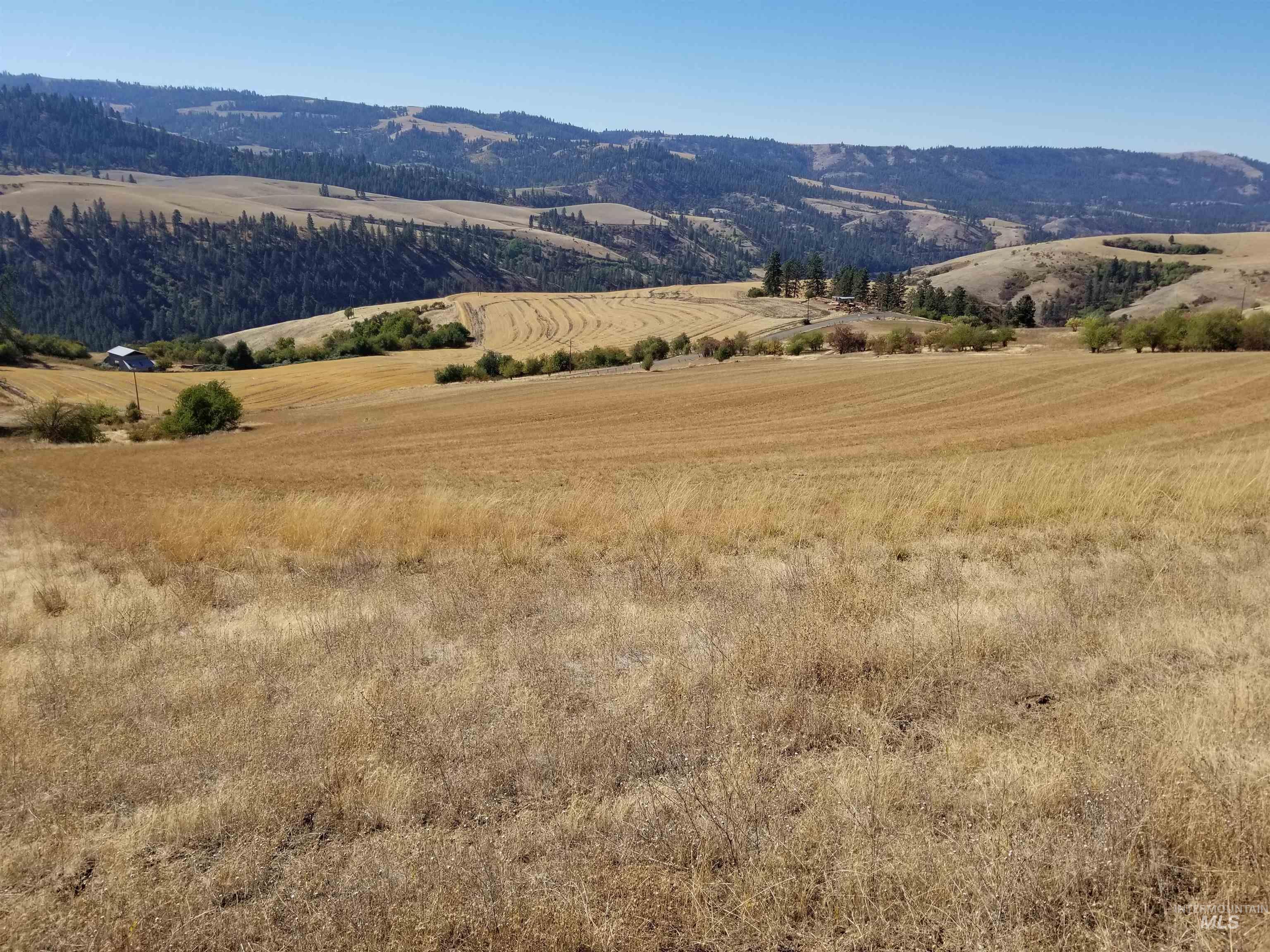 Tbd Sunnyside Bench Road Property Photo 28