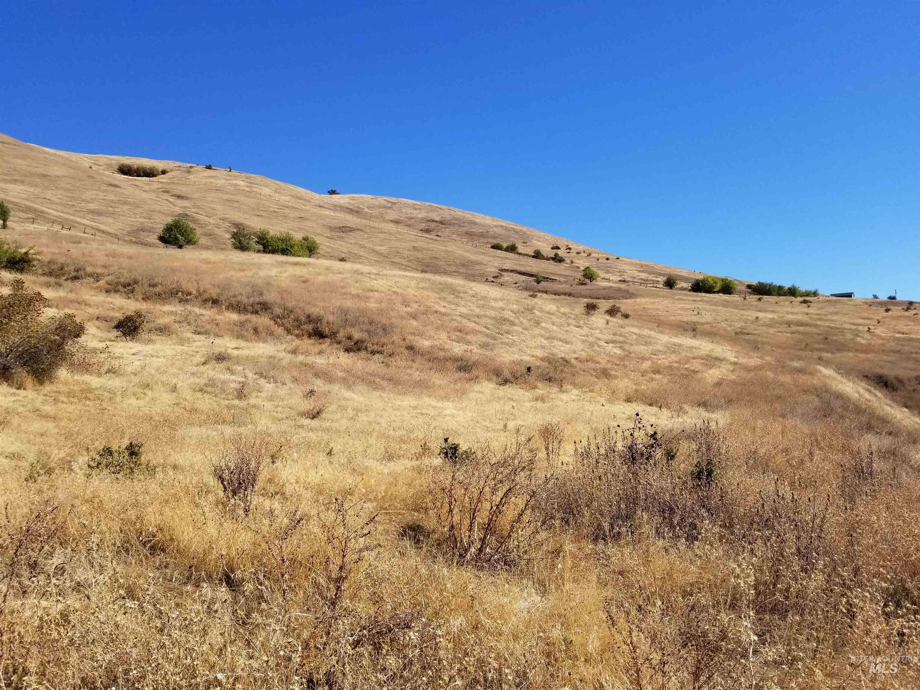 Tbd Sunnyside Bench Road Property Photo 30