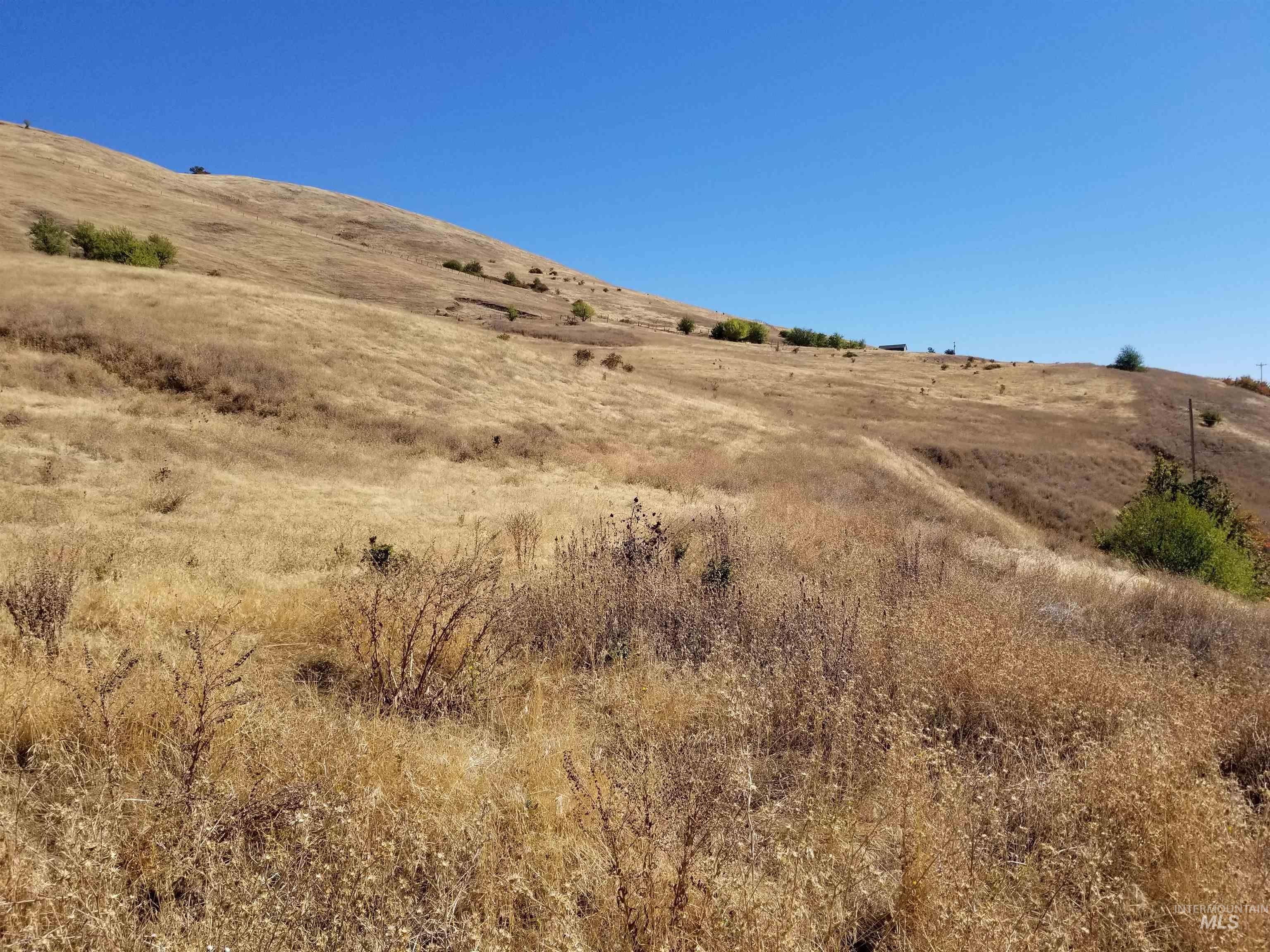 Tbd Sunnyside Bench Road Property Photo 31