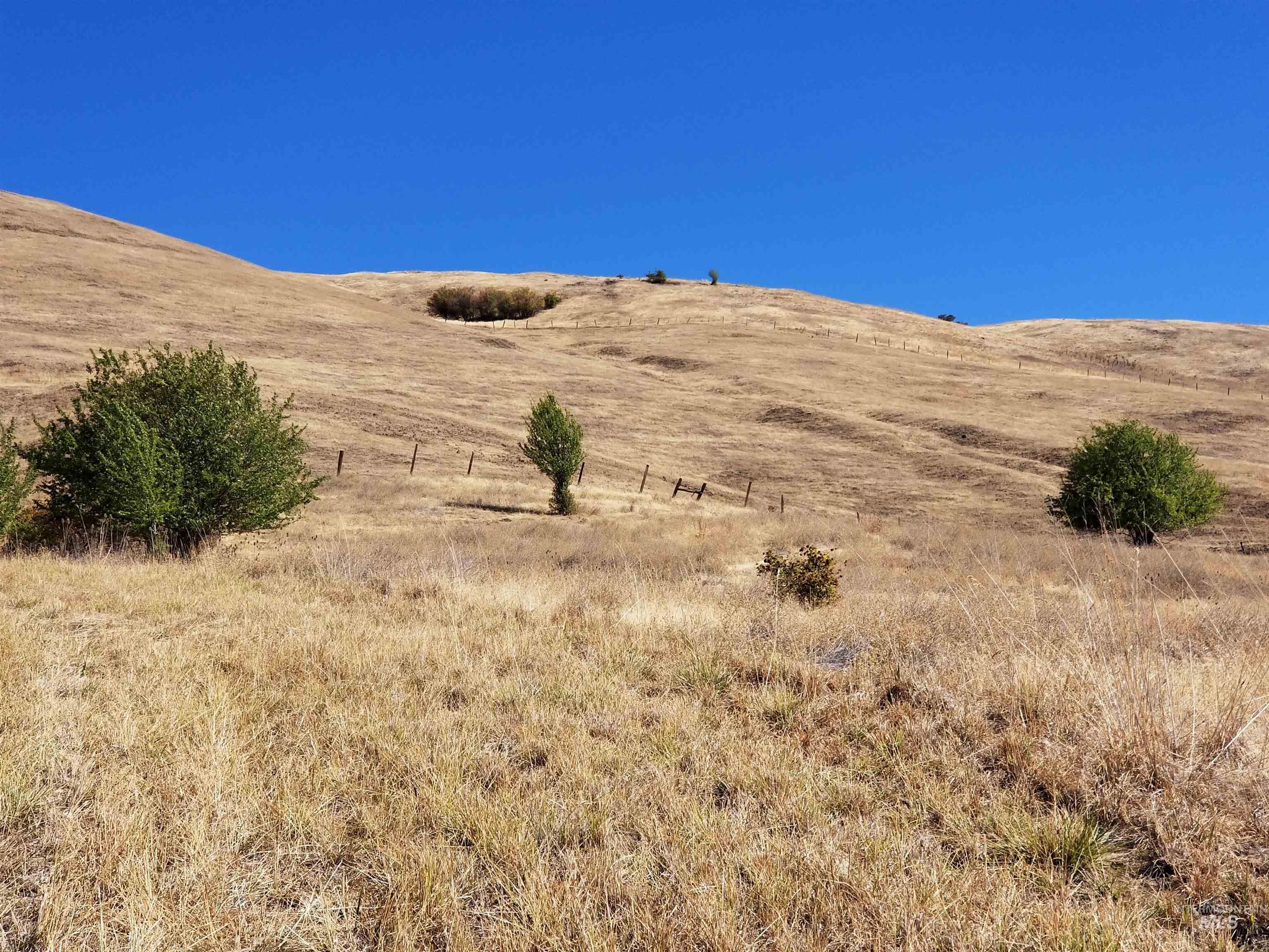 Tbd Sunnyside Bench Road Property Photo 32