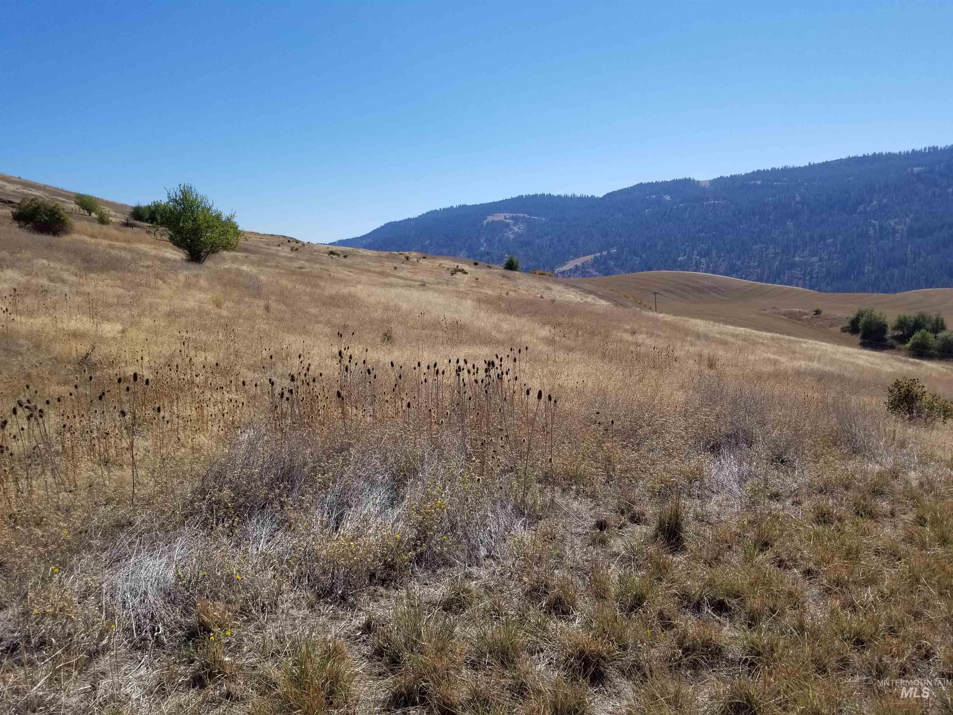 Tbd Sunnyside Bench Road Property Photo 33