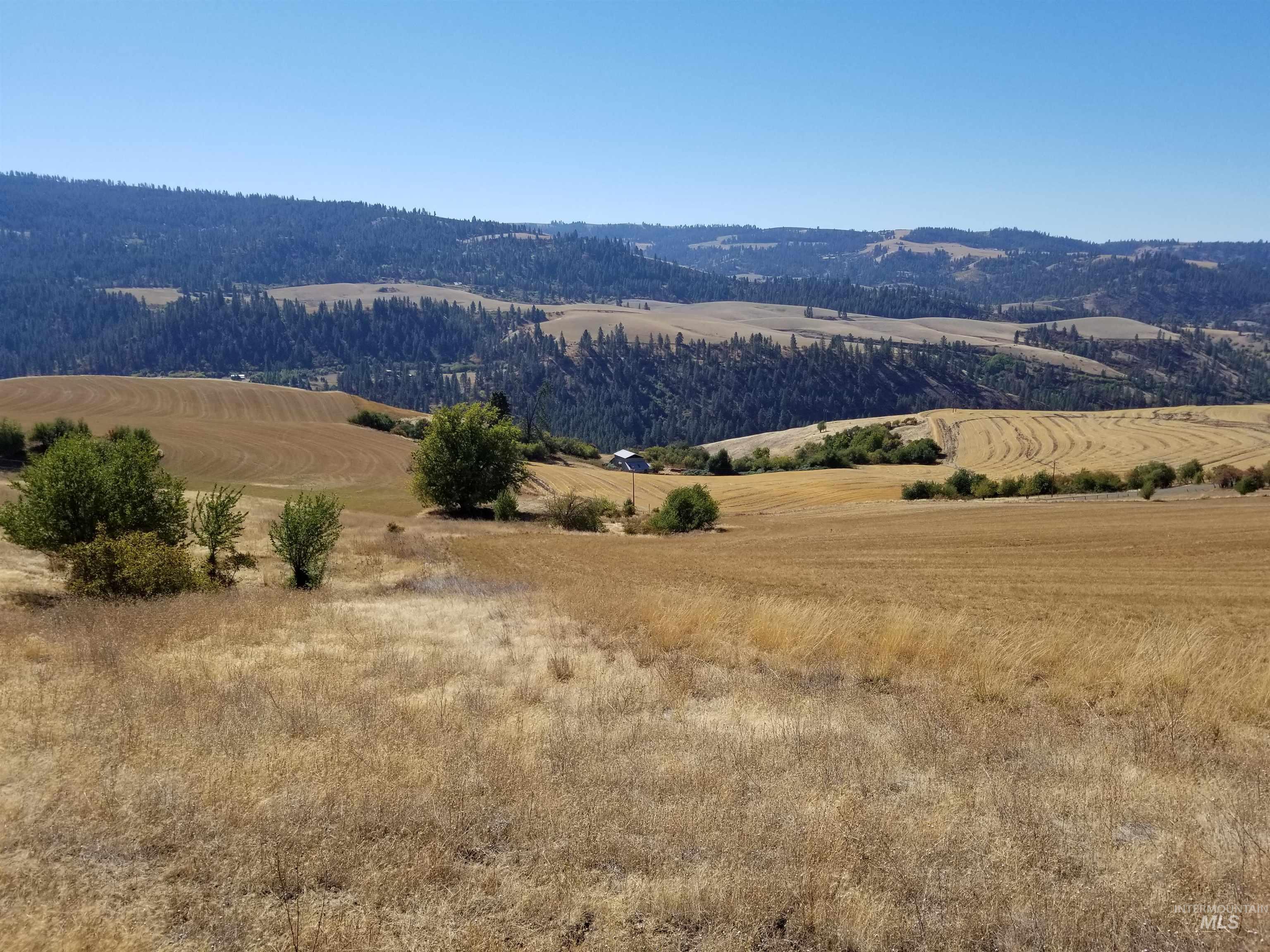 Tbd Sunnyside Bench Road Property Photo 34
