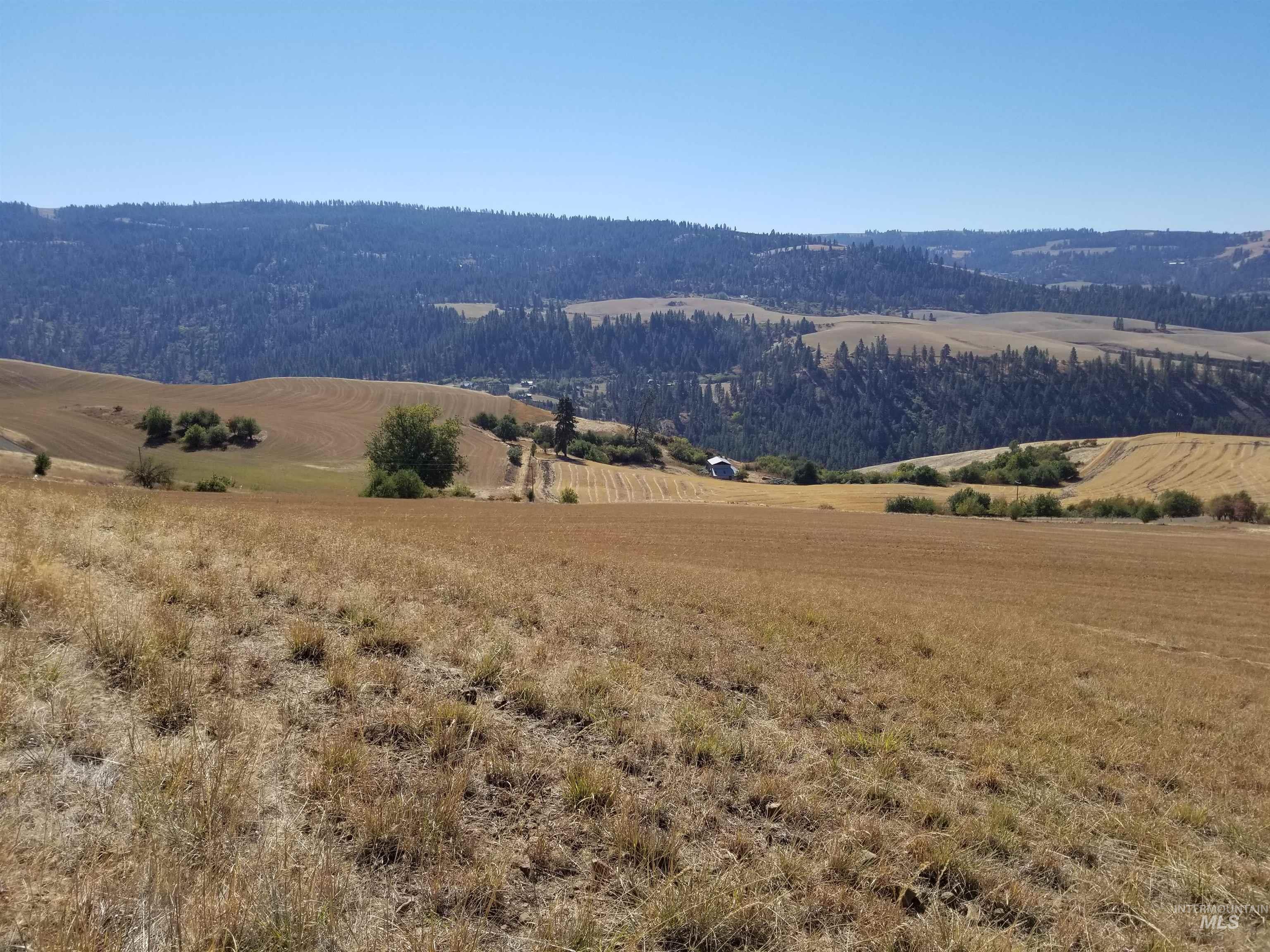 Tbd Sunnyside Bench Road Property Photo 35