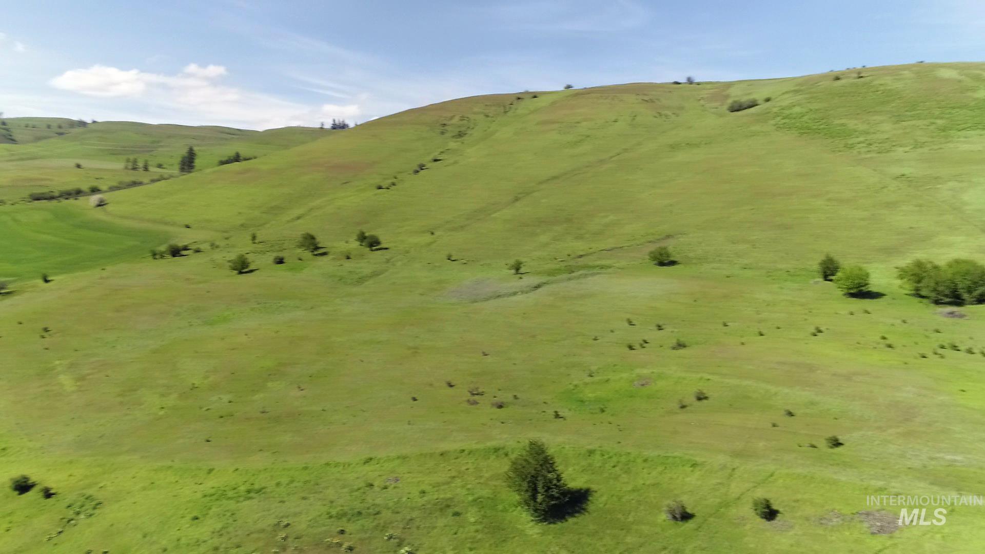 Tbd Sunnyside Bench Road Property Photo 36