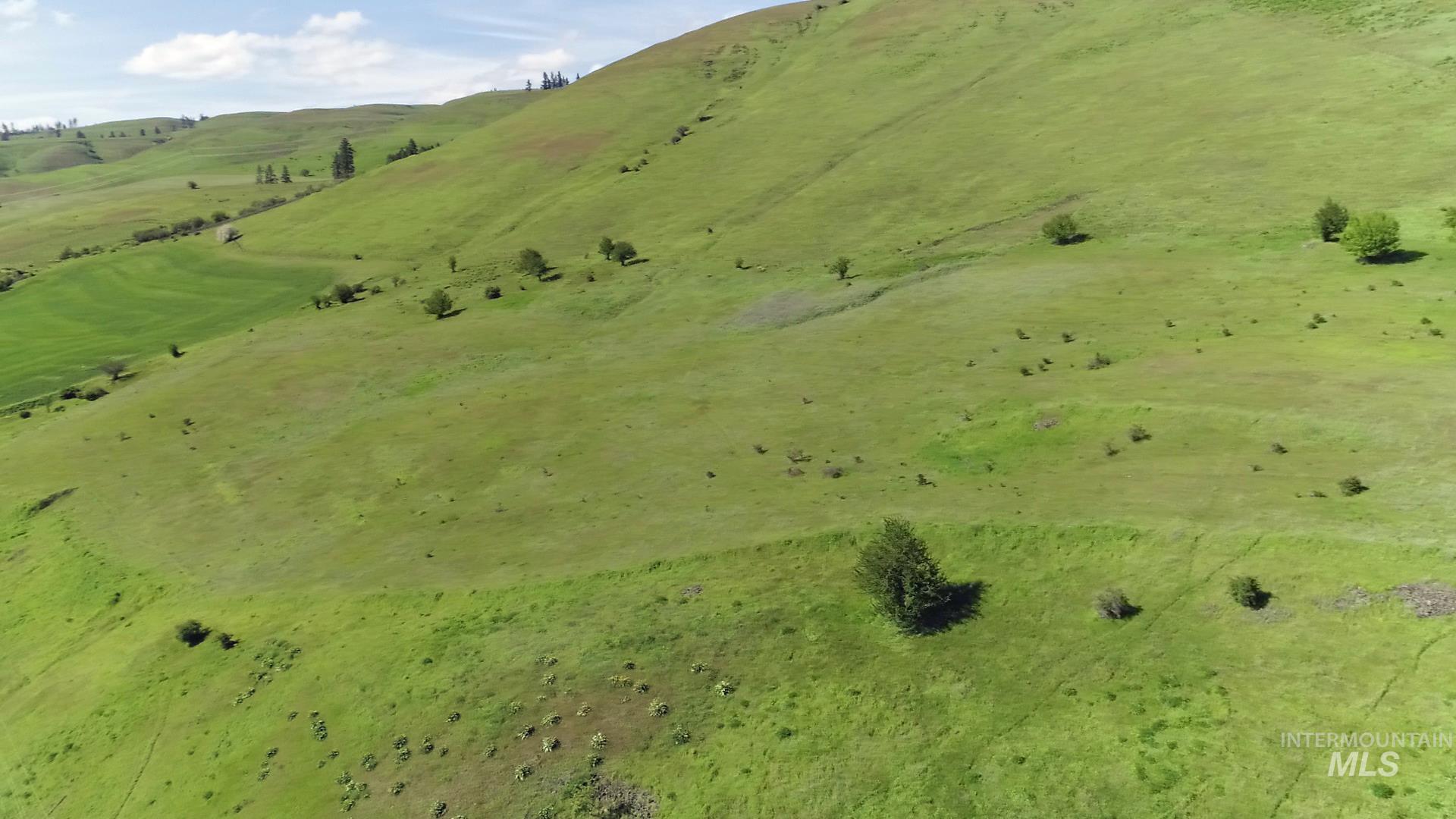 Tbd Sunnyside Bench Road Property Photo 37