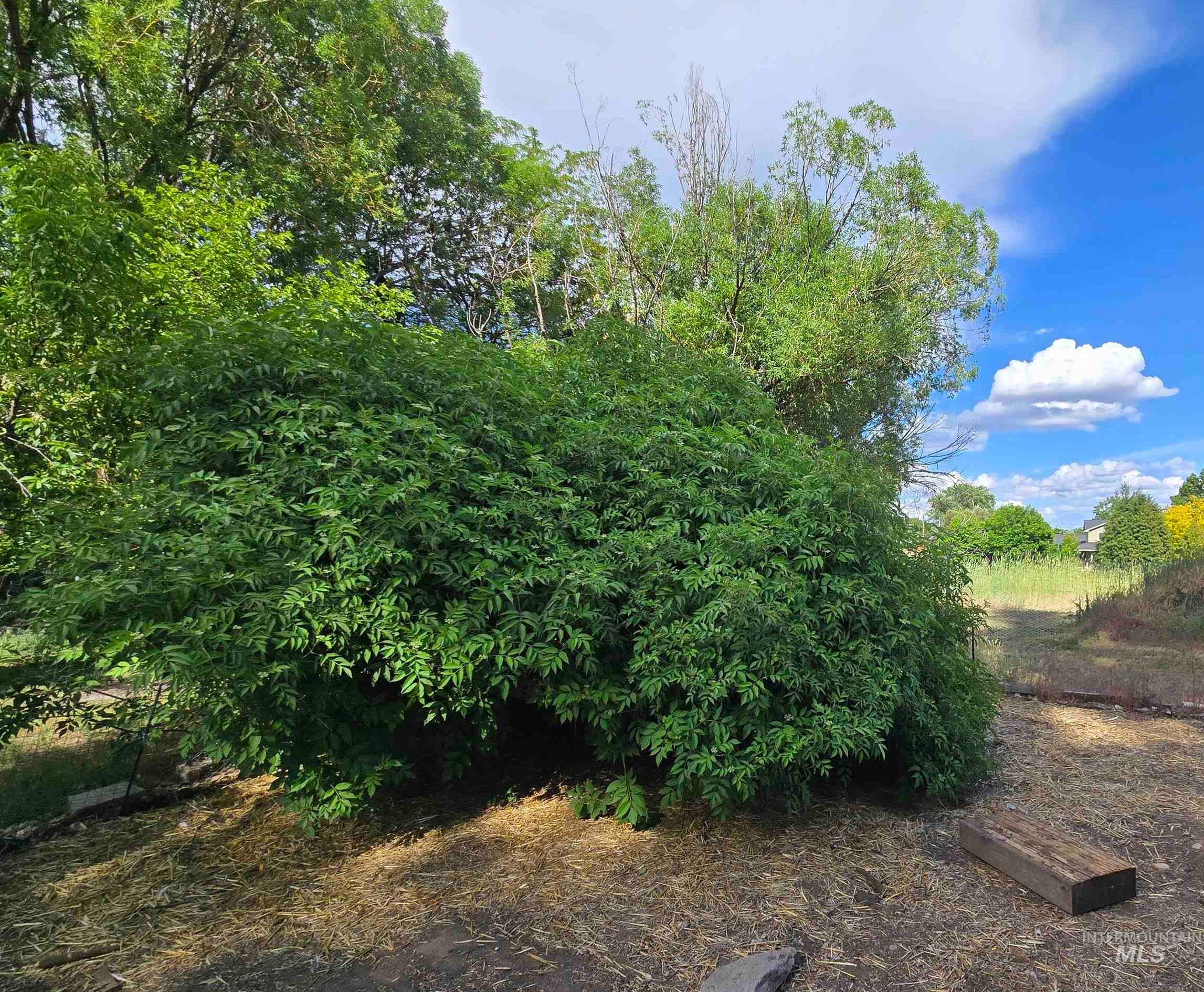 1092 Serenity Dr Property Photo 35