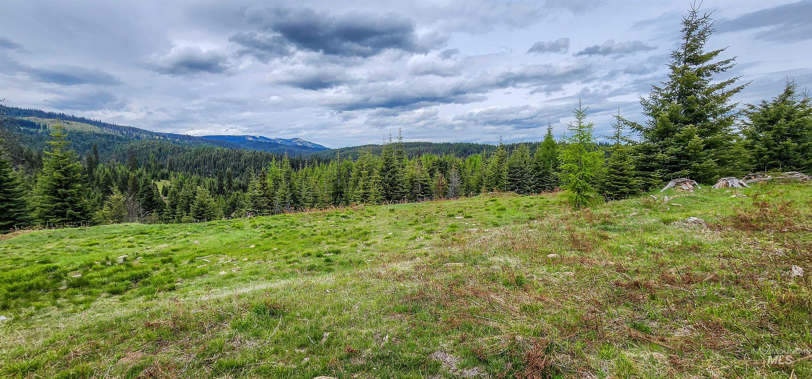 Tbd Tree Farm Trail North 40 Acres Property Photo 1