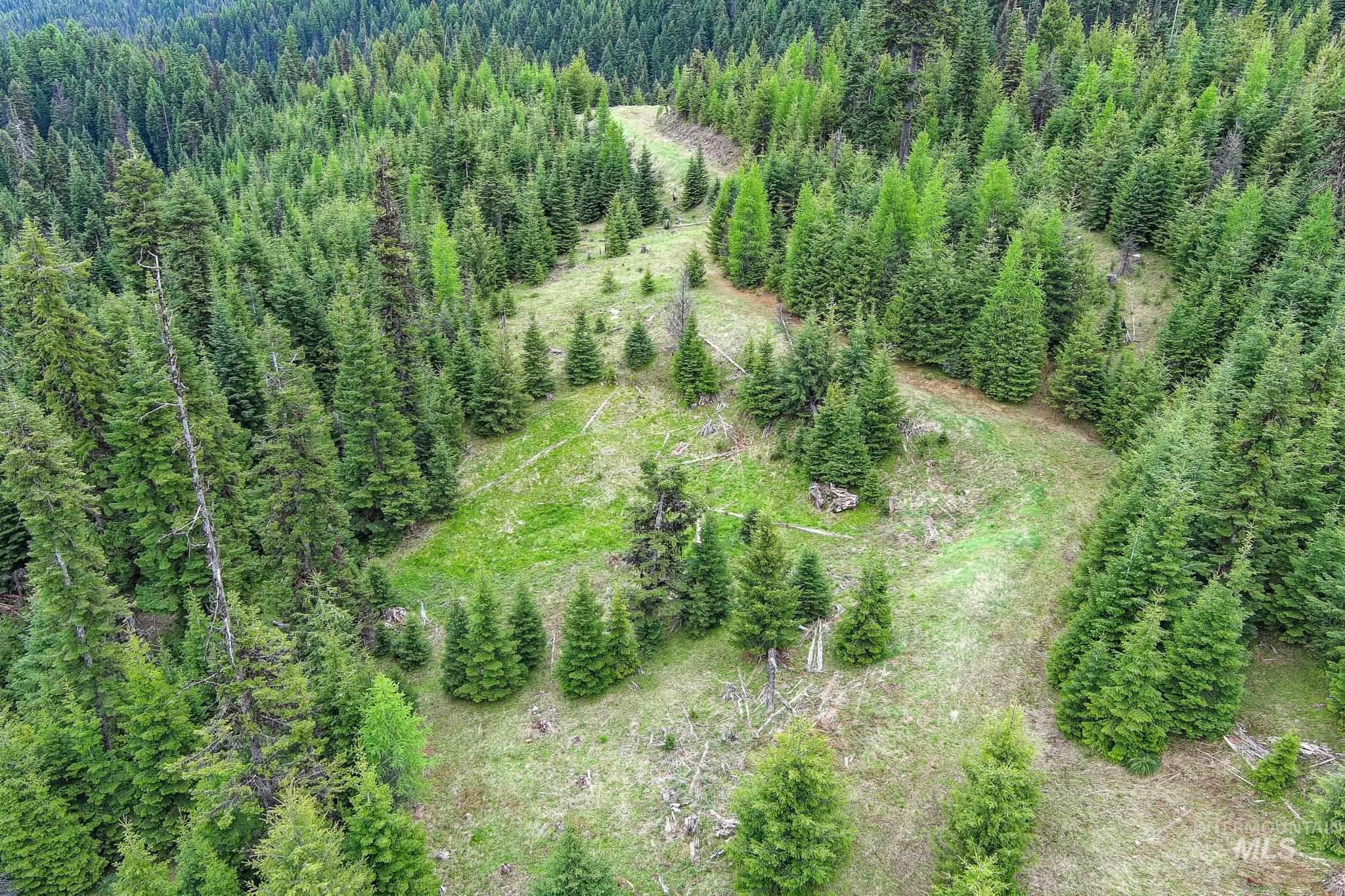 Tbd Tree Farm Trail North 40 Acres Property Photo 8
