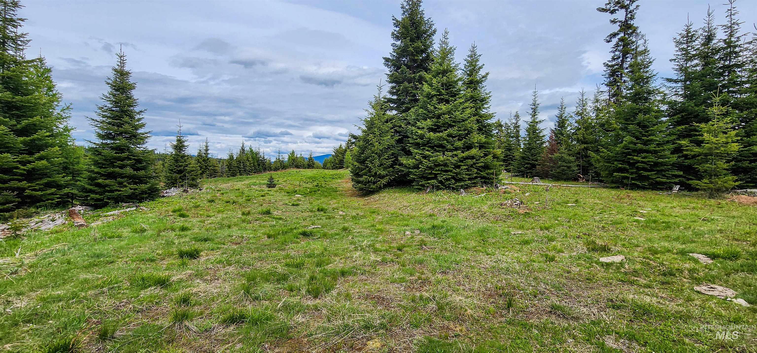 Tbd Tree Farm Trail South 40 Acres Property Photo 3